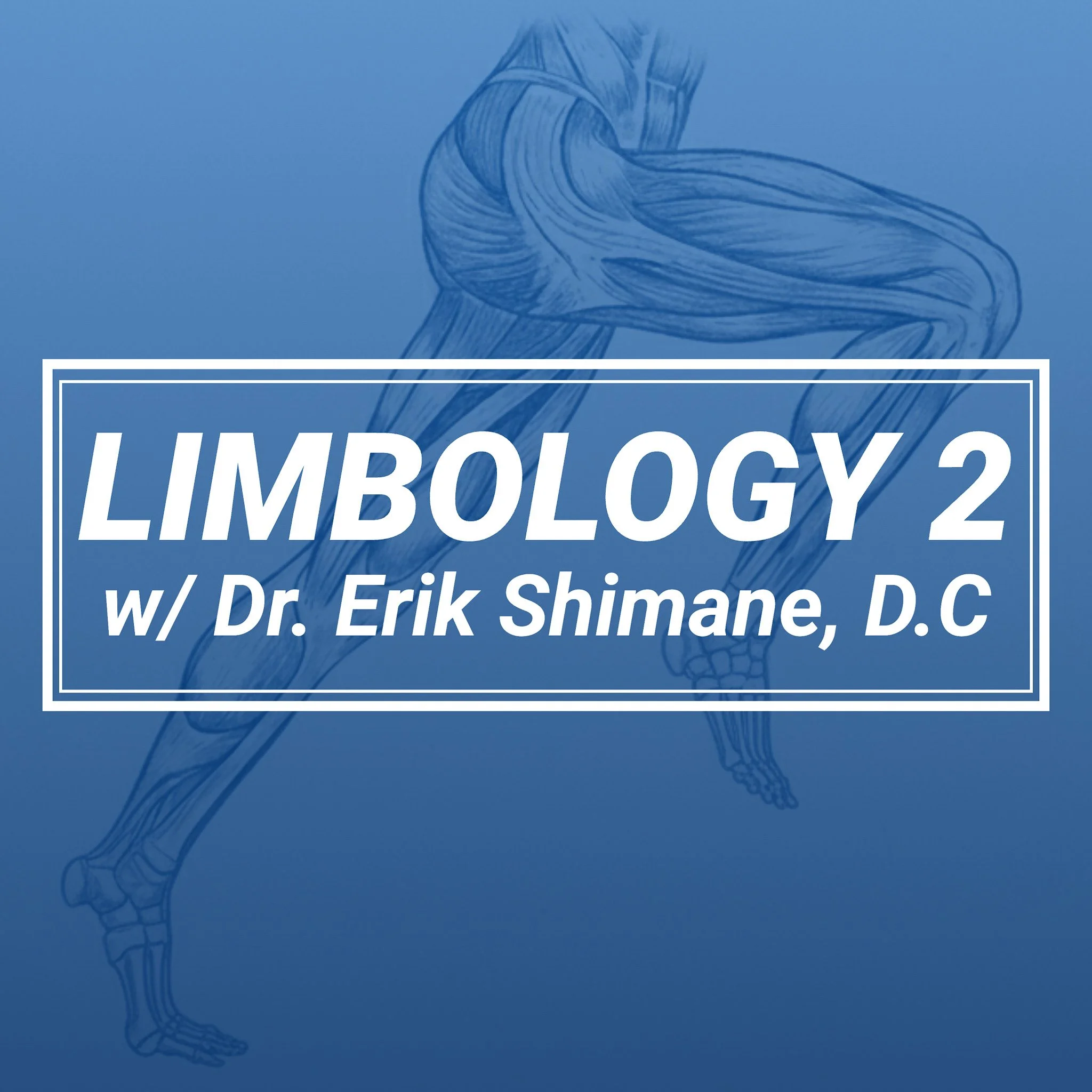 Limbology 02 Lower - Dallas, Texas