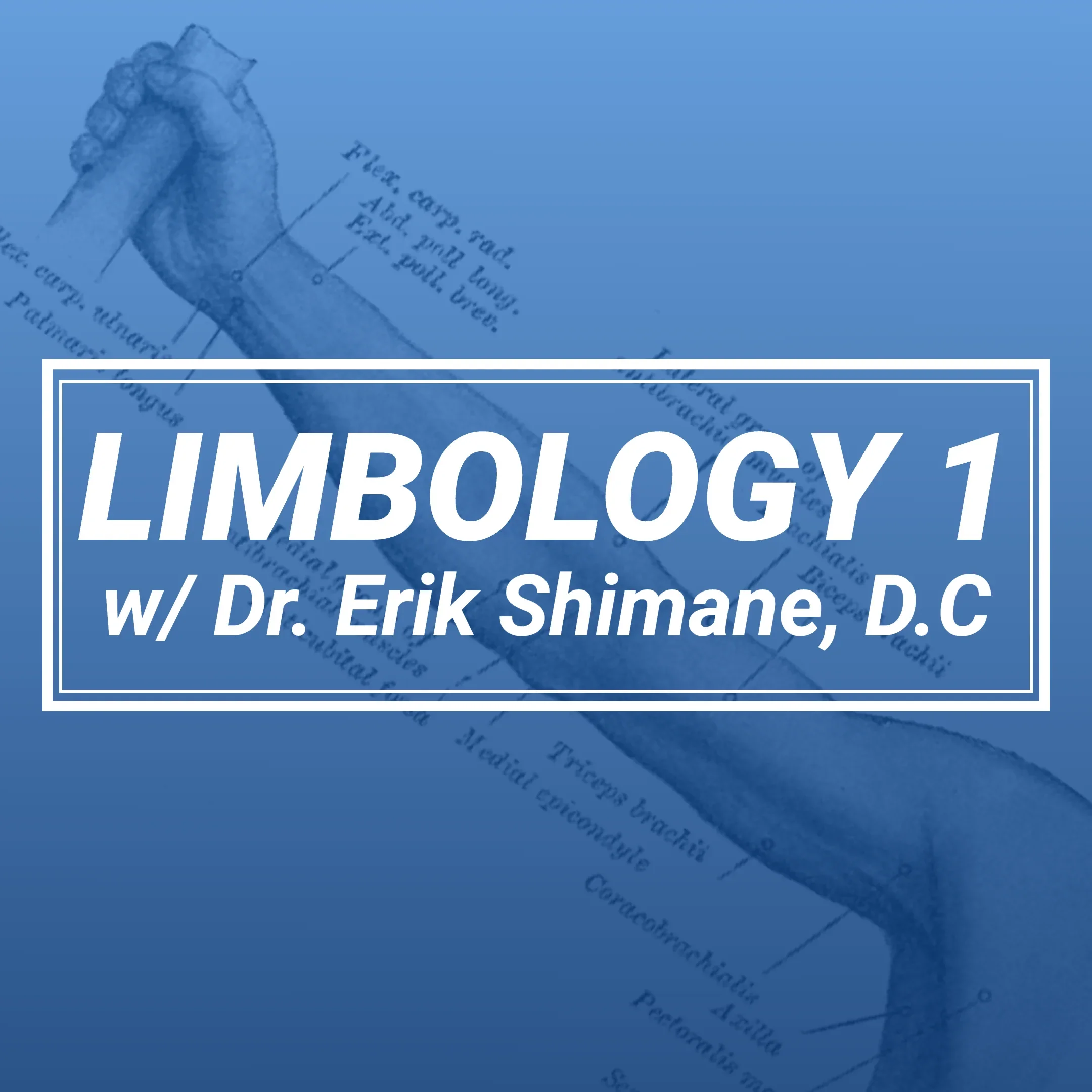 Limbology 01 Upper - Dallas, Texas