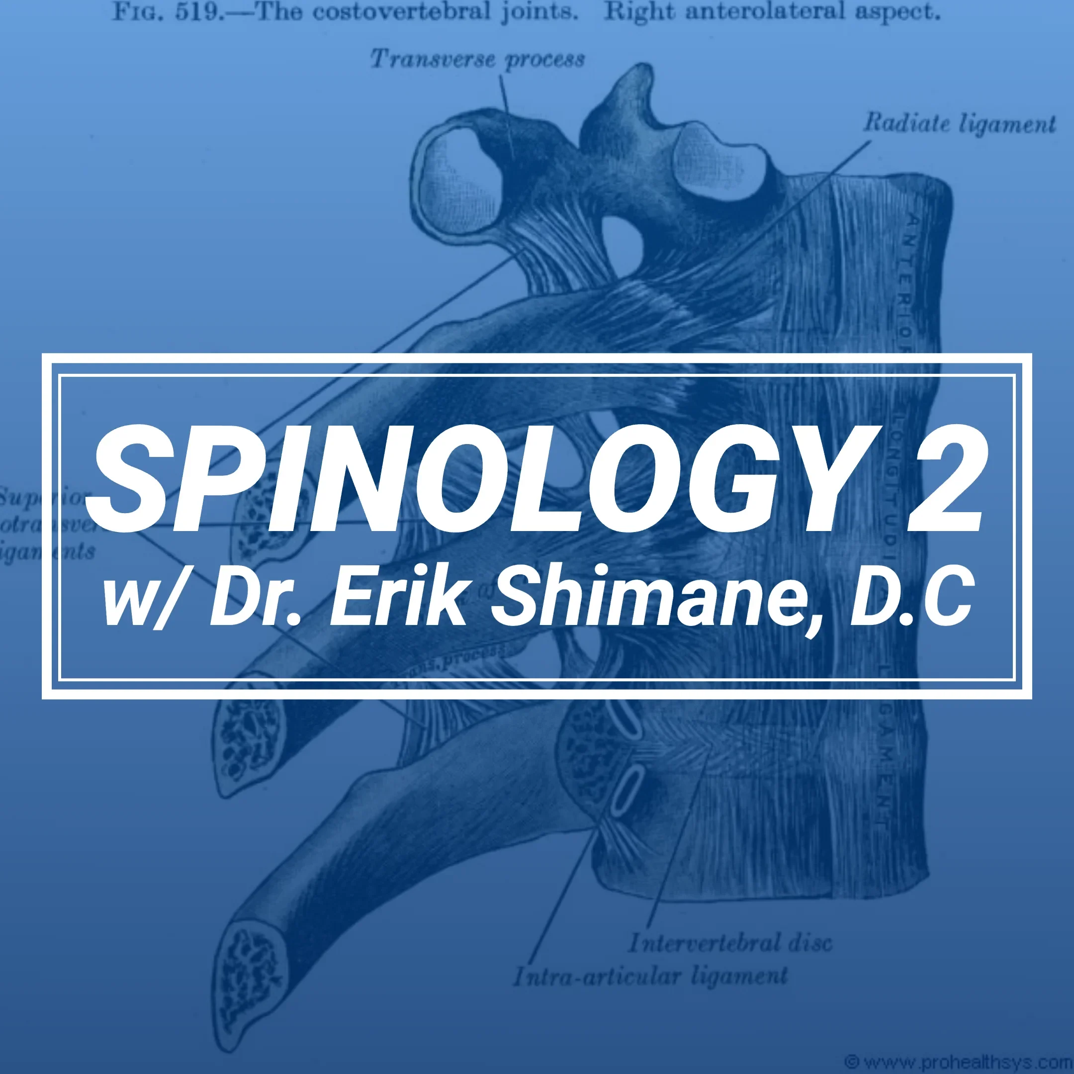 Spinology 02 Thoracic Cage - Dallas, Texas
