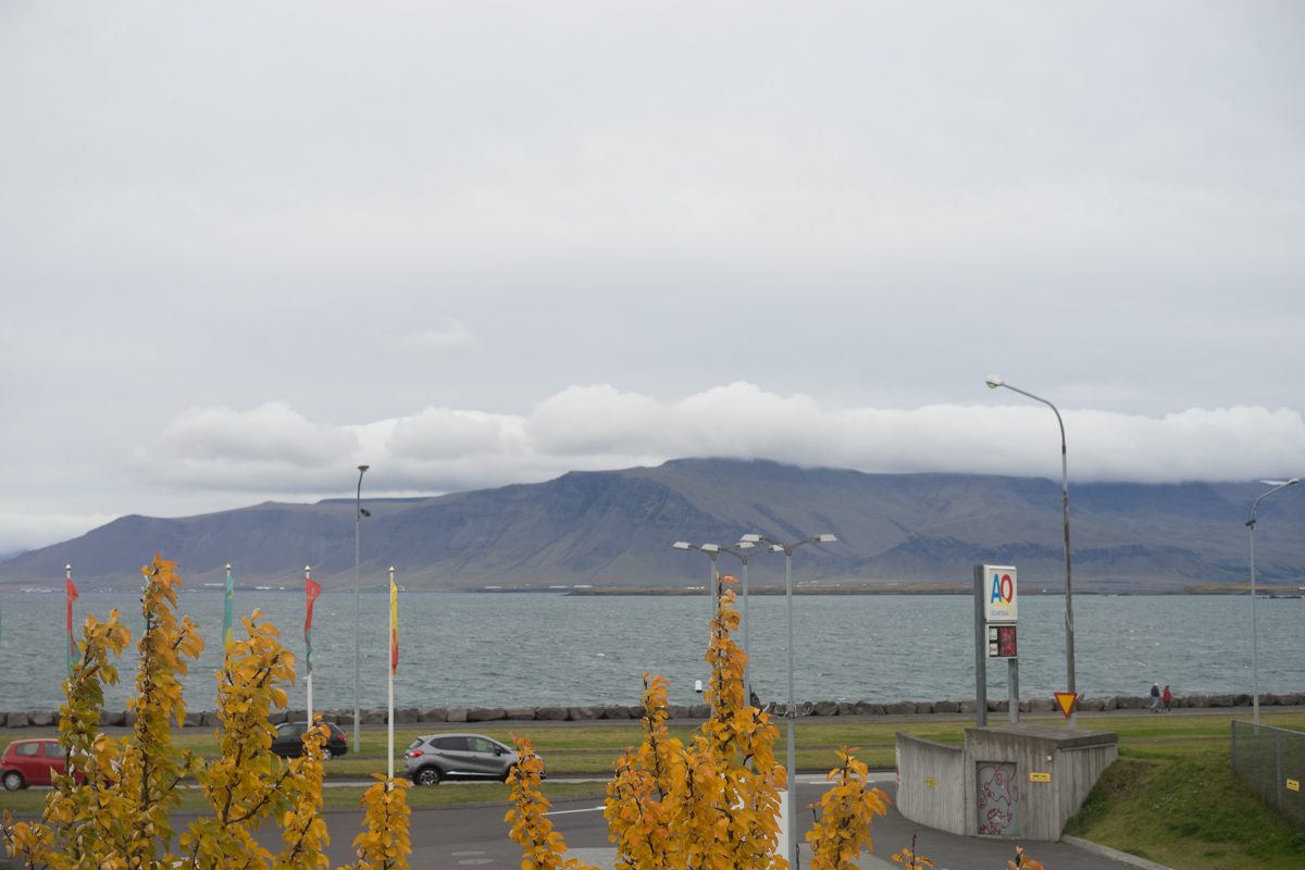 View from breakfast at Kex Hostel in Reykjavik 