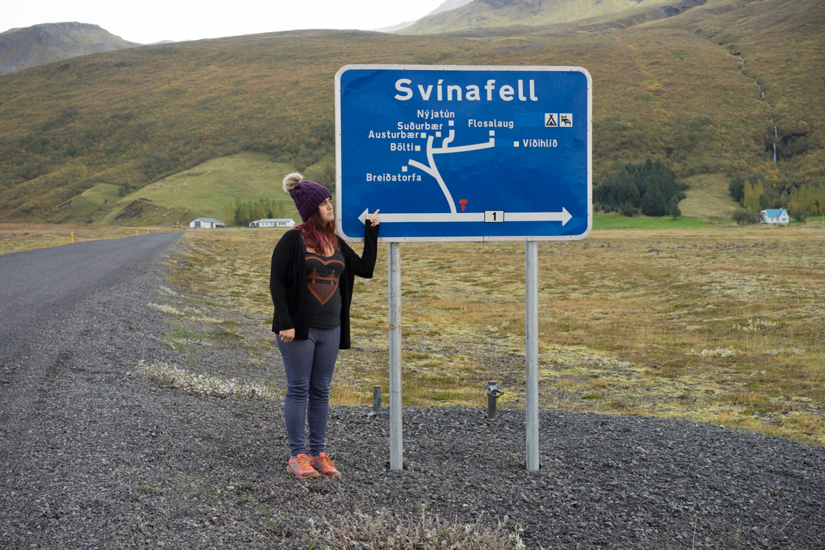 I don't speak Icelandic. I also don't drive stick shift.