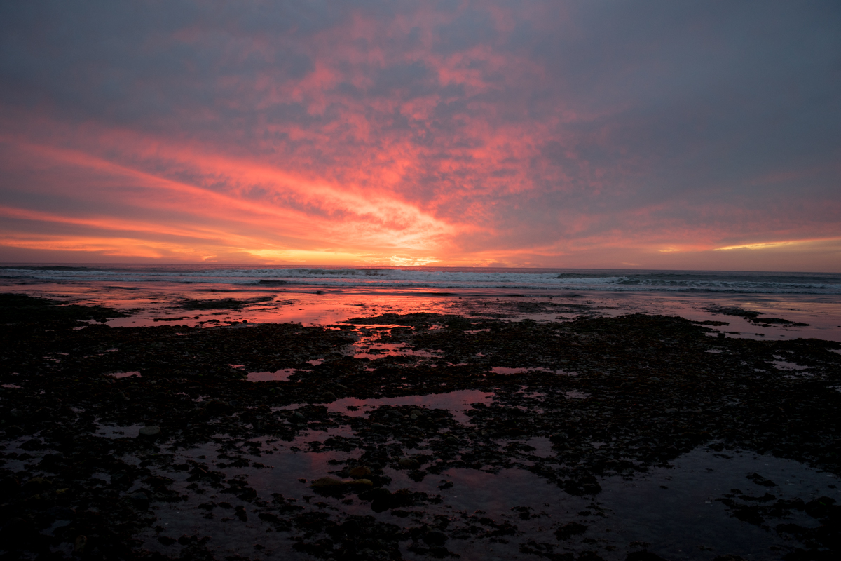Different exposures of the sun set, whose colors seem to change from minute to minute in the last hours of daylight.