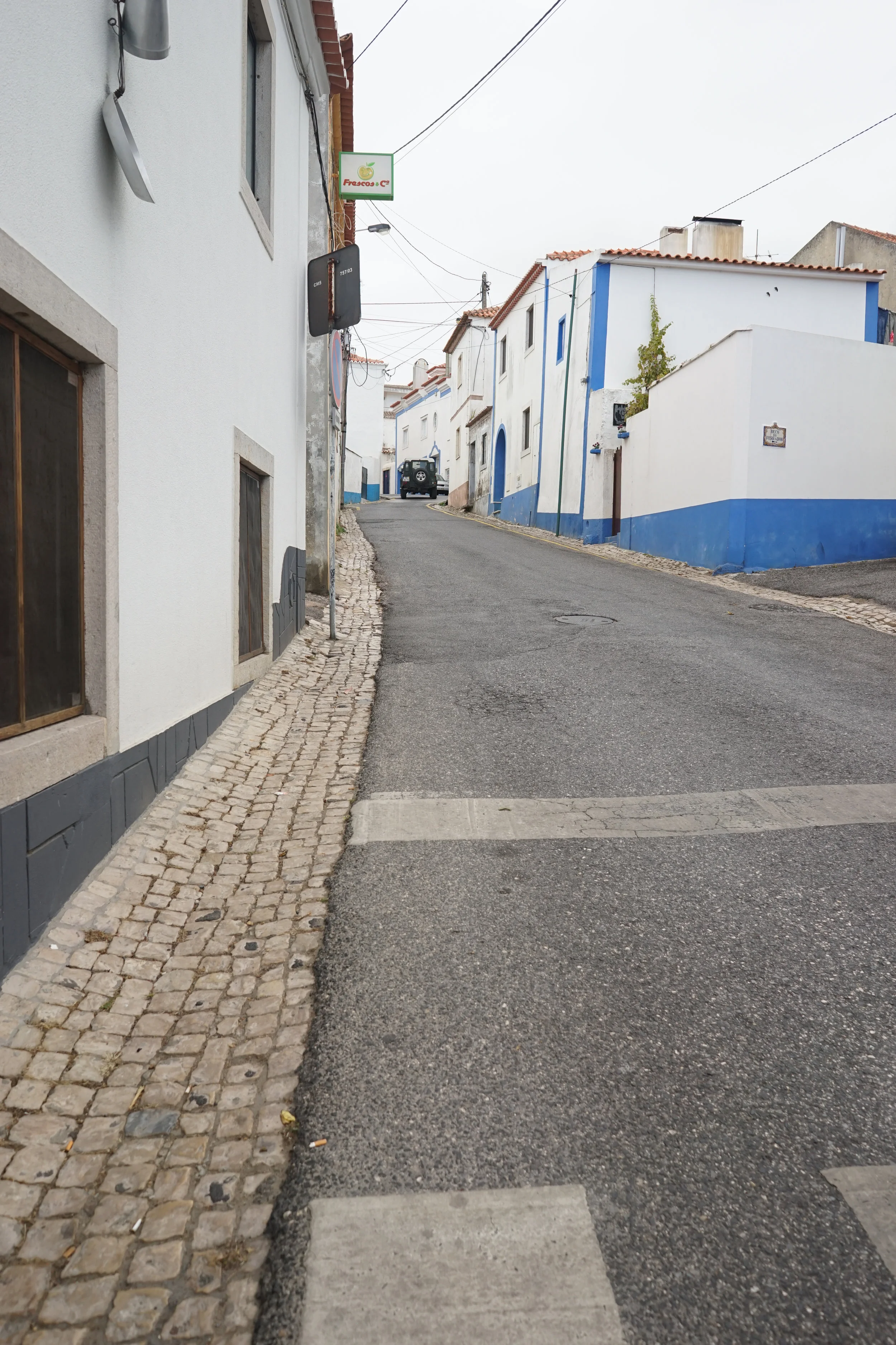 DSC06761-2.jpg