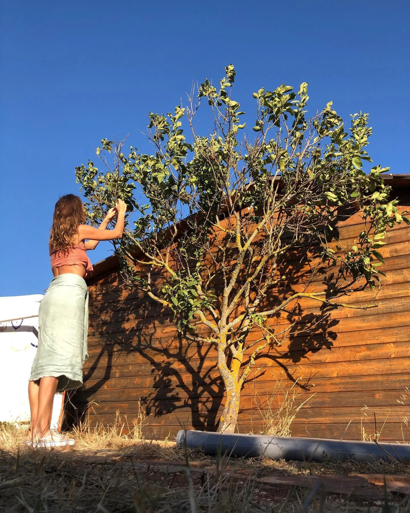 This weekend I remembered how important it is to create empty space, for moments to arrive, to know the self through this. A feeling of wind on your skin, the mist of the ocean touching your face, the light of the sun against branches. 

To notice ho