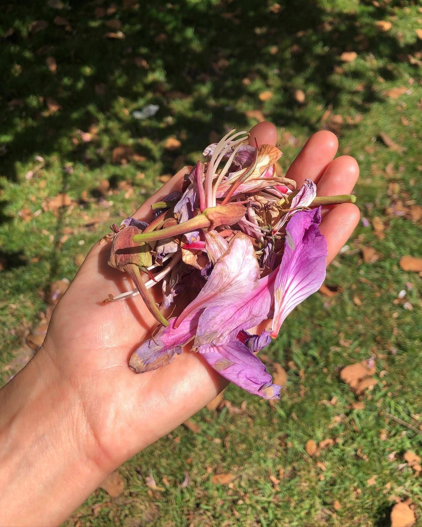 Dear friends, I am excited to share the podcast episode on Flores de Rua is live! This is part of a new podcast series called The Artist Reality, that dives into the lives of artists 😎 Click the link in bio to hear about what went into making the pr