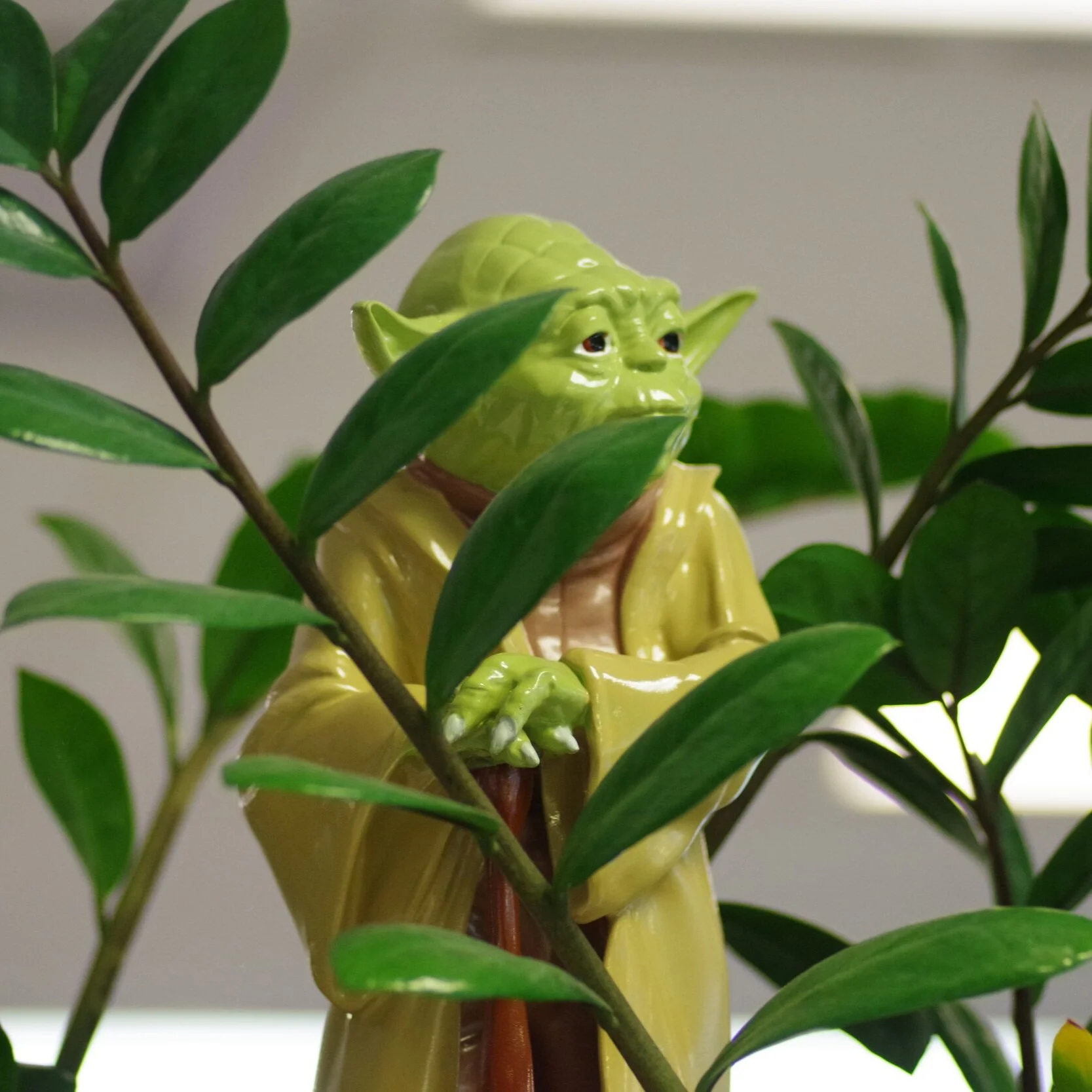 Confessions of a Serial Mentor