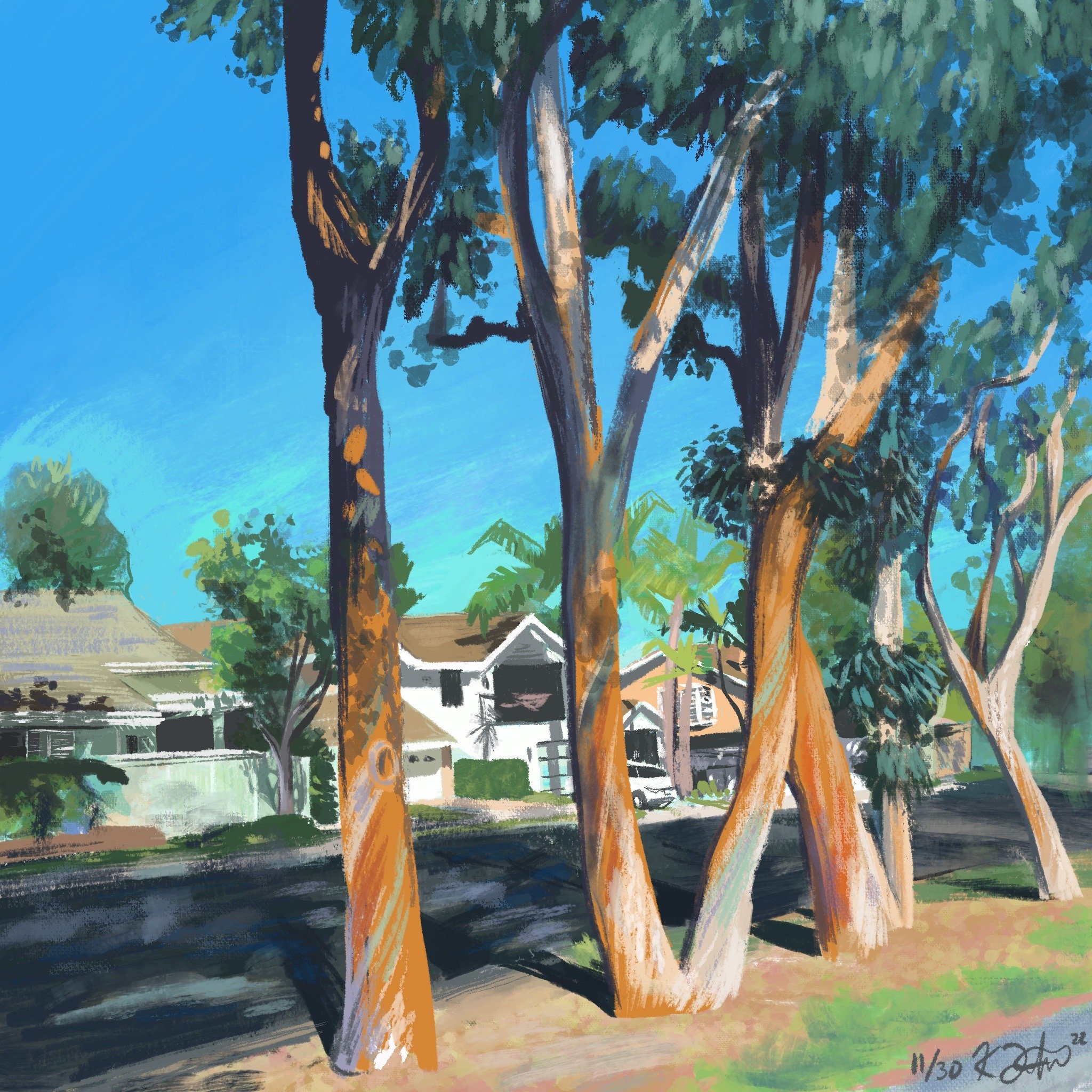  Digital painting of some eucalyptus trees. 