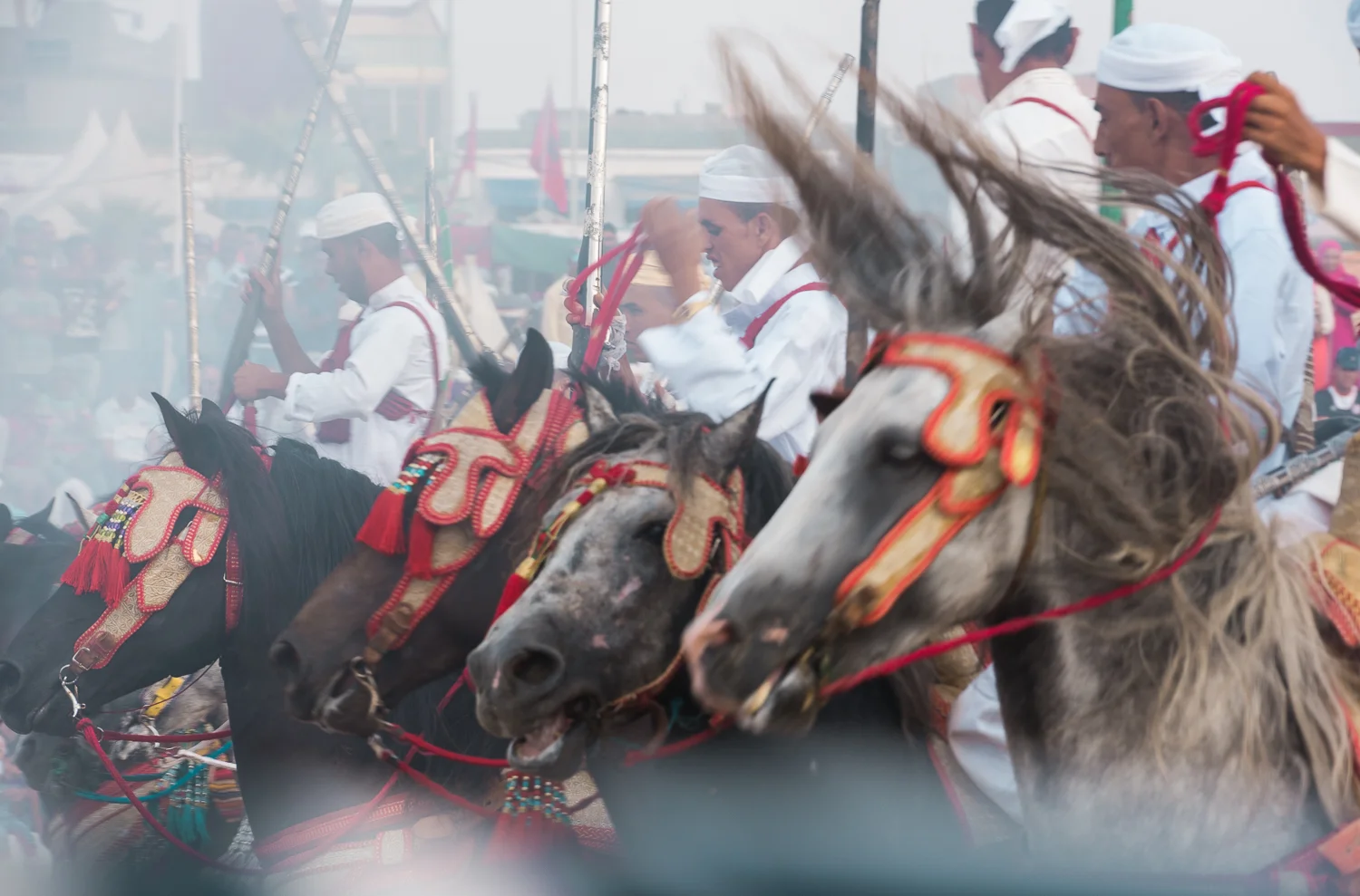_DSC9855.jpg