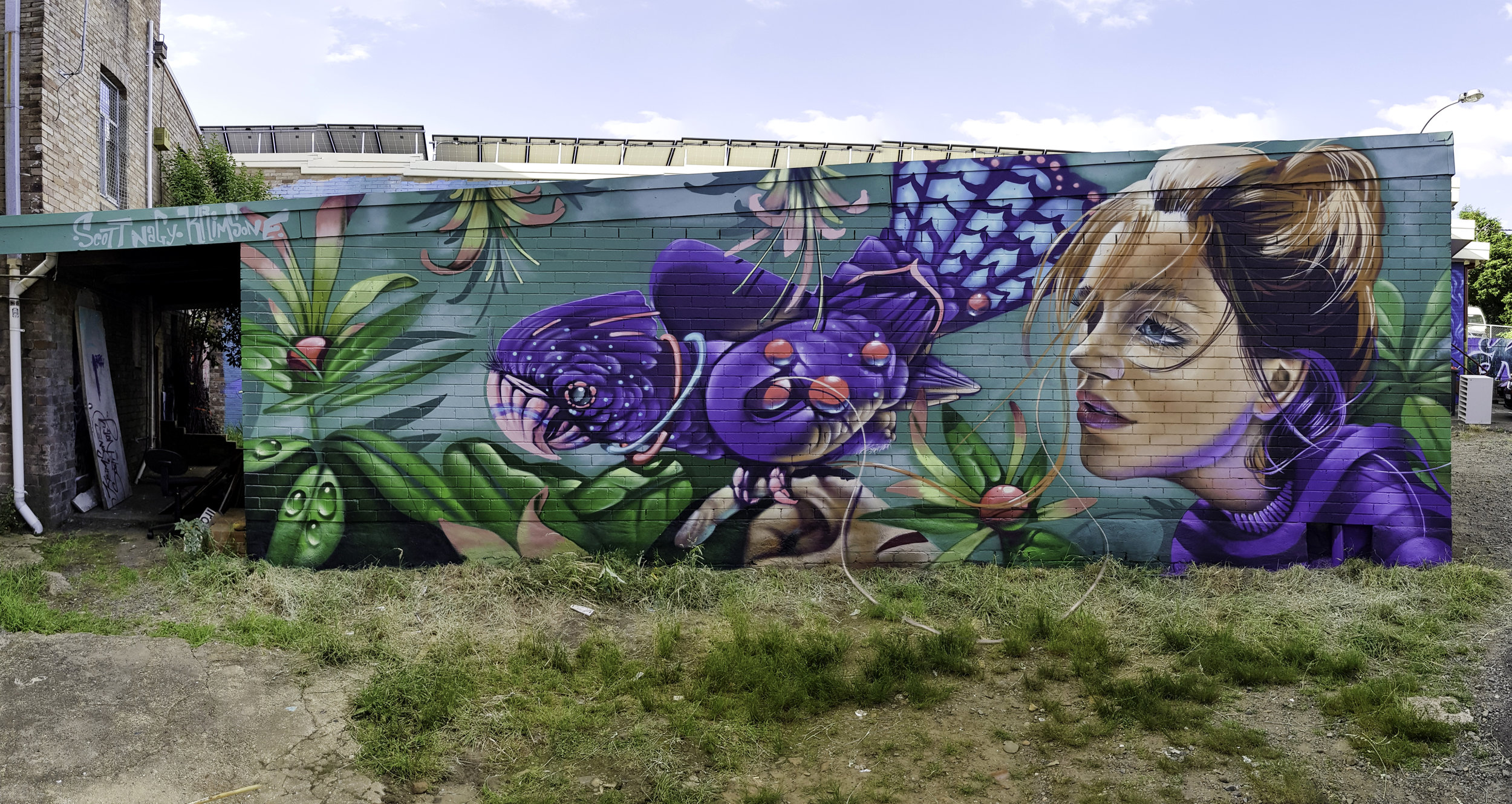 Krimsone Katoomba Street Art Walk