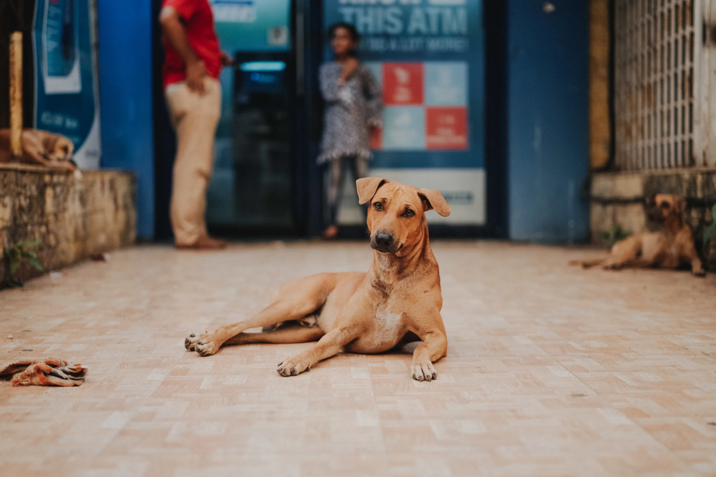 UBC-MUMBAI-NILS-HASENAU-12.jpg