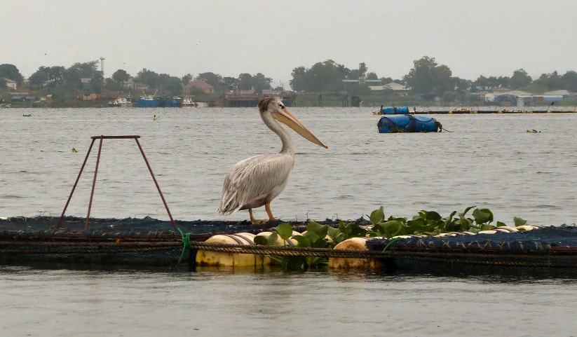 P1170877 LR.jpg