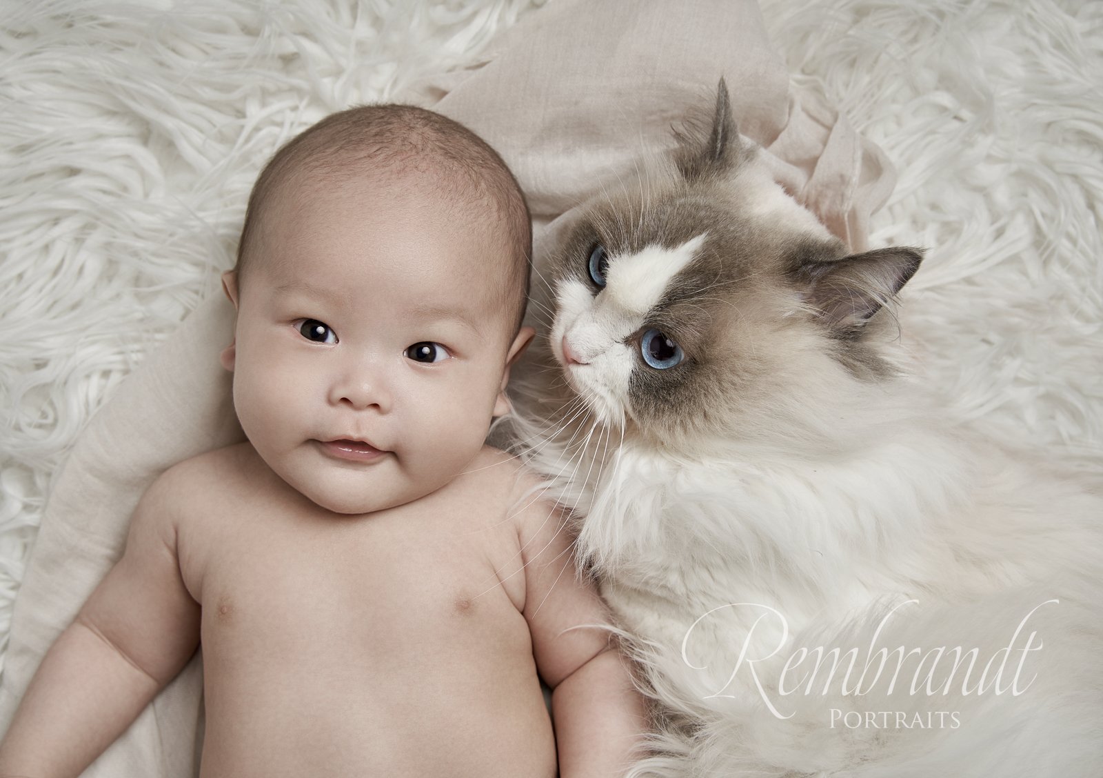 Rm974 chen 3-month baby with cat0348+.jpg