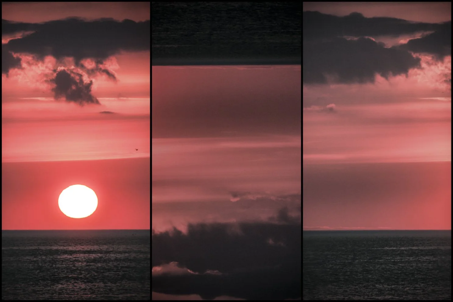 01032009-IMG_1034-Modifier-Modifier LD.jpg