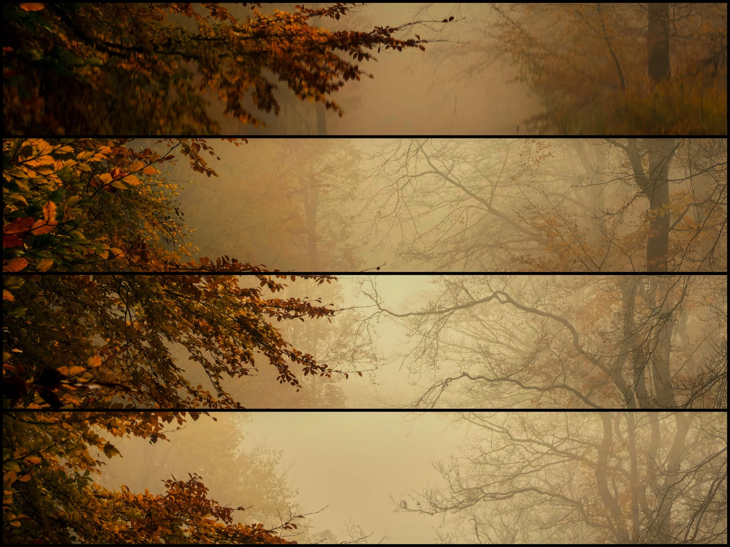 03112025-IMG_2176-Modifier-Modifier LD.jpg