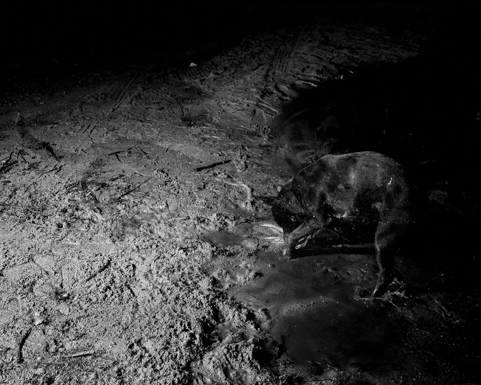 Moon Mud , 2013 Archival pigment print mounted to rag board 19 x 23.75 in (48.26 x 60.33 cm)
