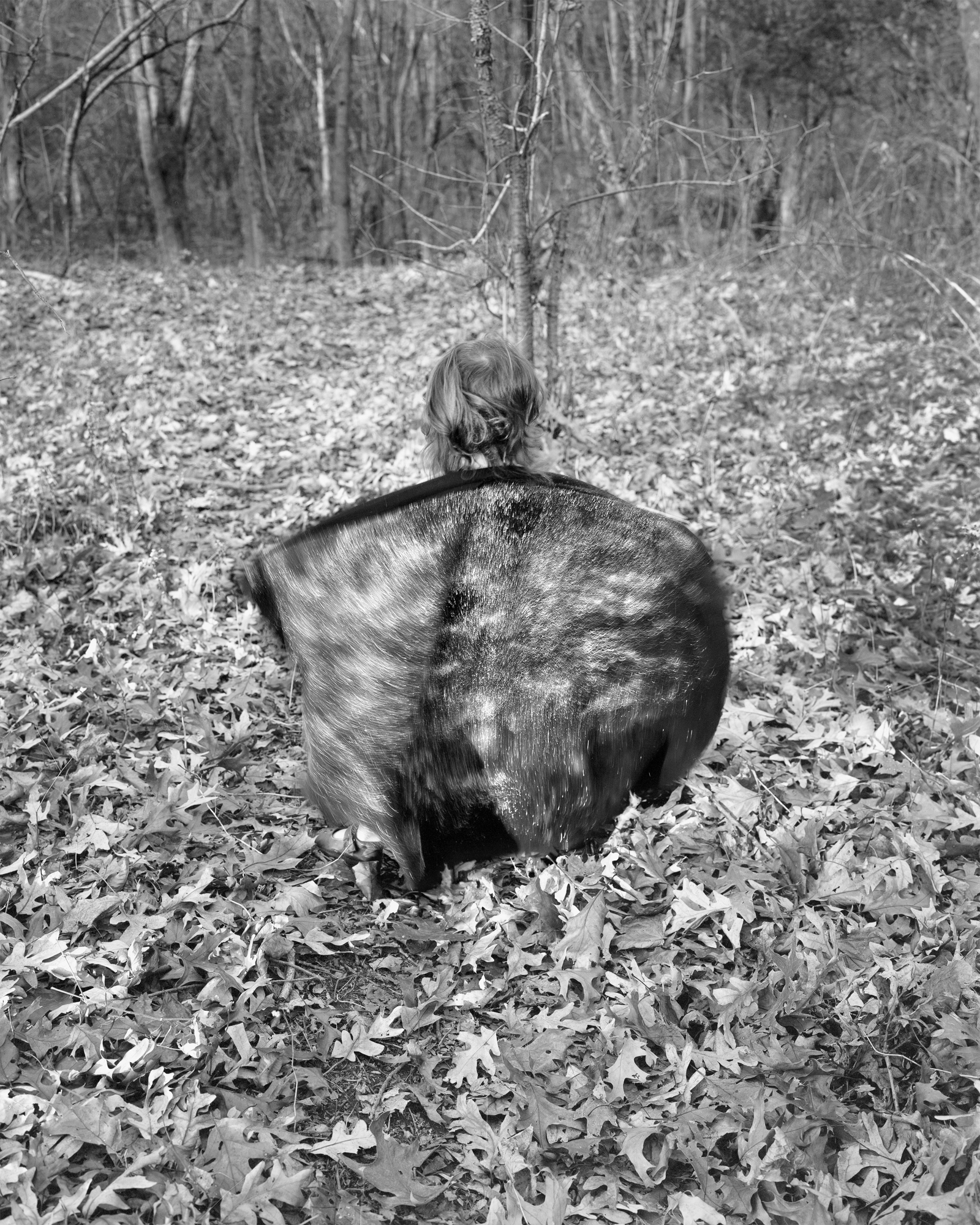   Sparkle, Fur, Autumn Spell , 2011 Archival pigment print mounted to rag board 19 x 23.75 in (48.26 x 60.33 cm) 