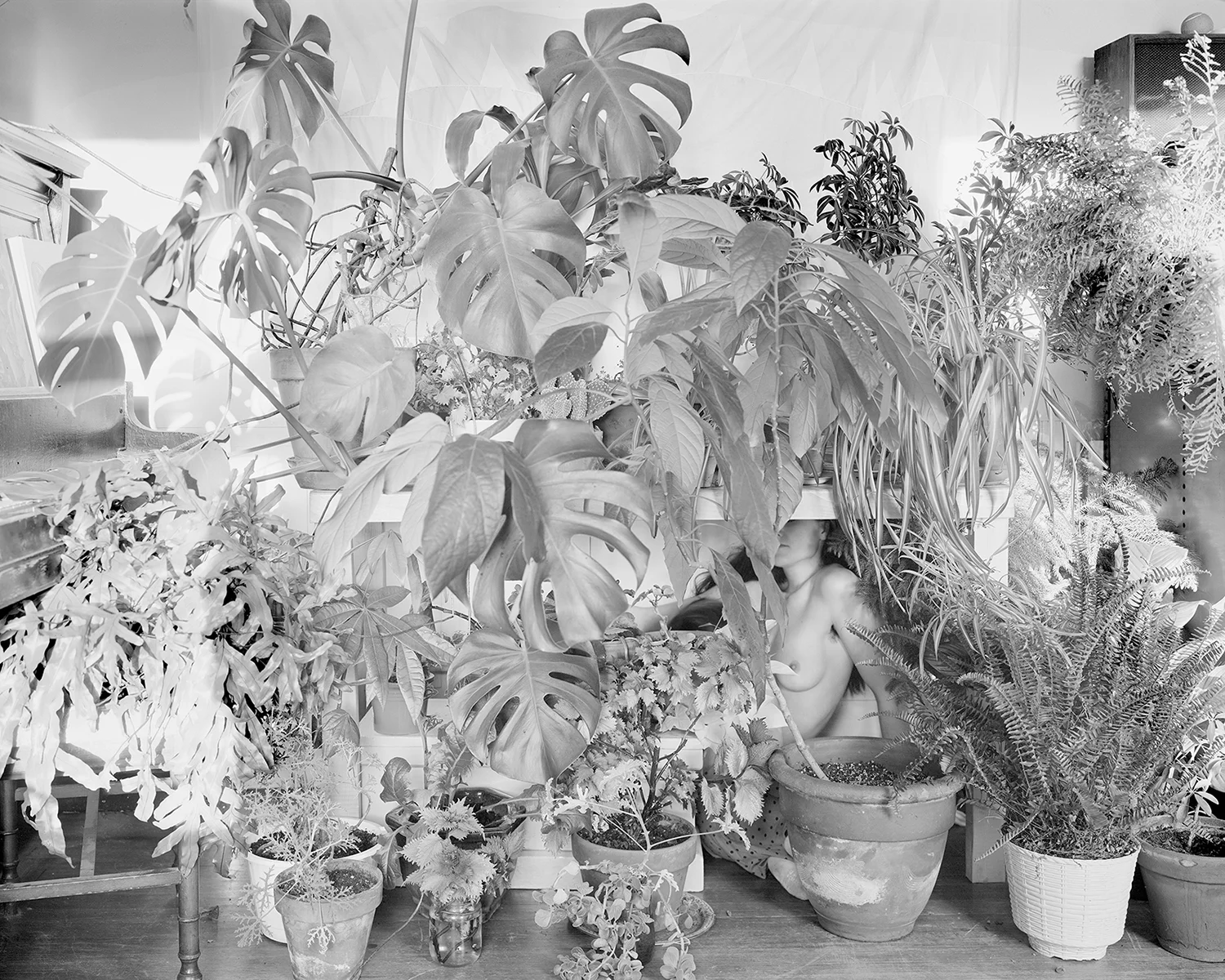Preparing to Connect With Nature (All the House Plants), 2012 Archival pigment print mounted to rag board 19 x 23.75 in (48.26 x 60.33 cm)