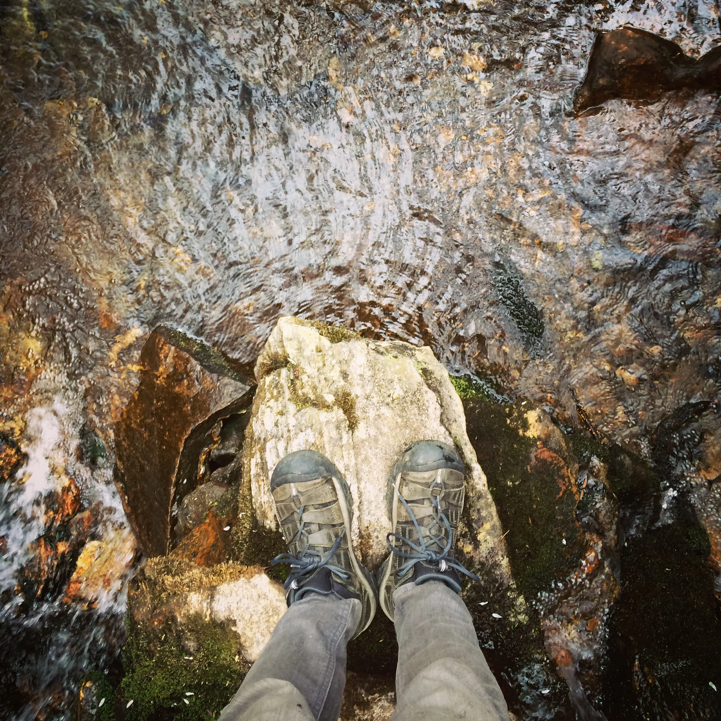 A trailside stop along an unnamed stream off the Mountain to Sea Trail near the Blue Ridge Parkway.