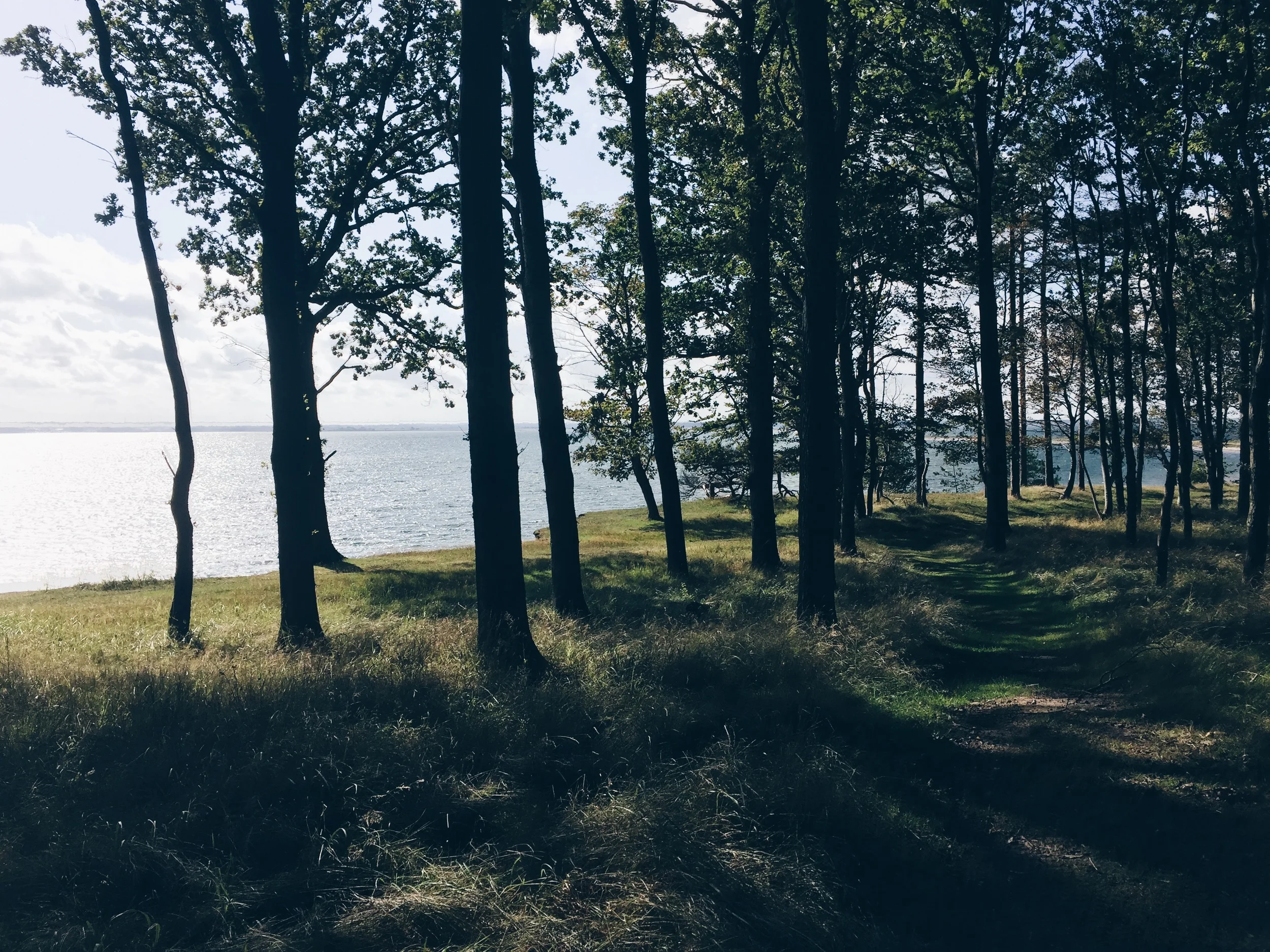 2015-09-15 11.17.19 HDR-1.jpg