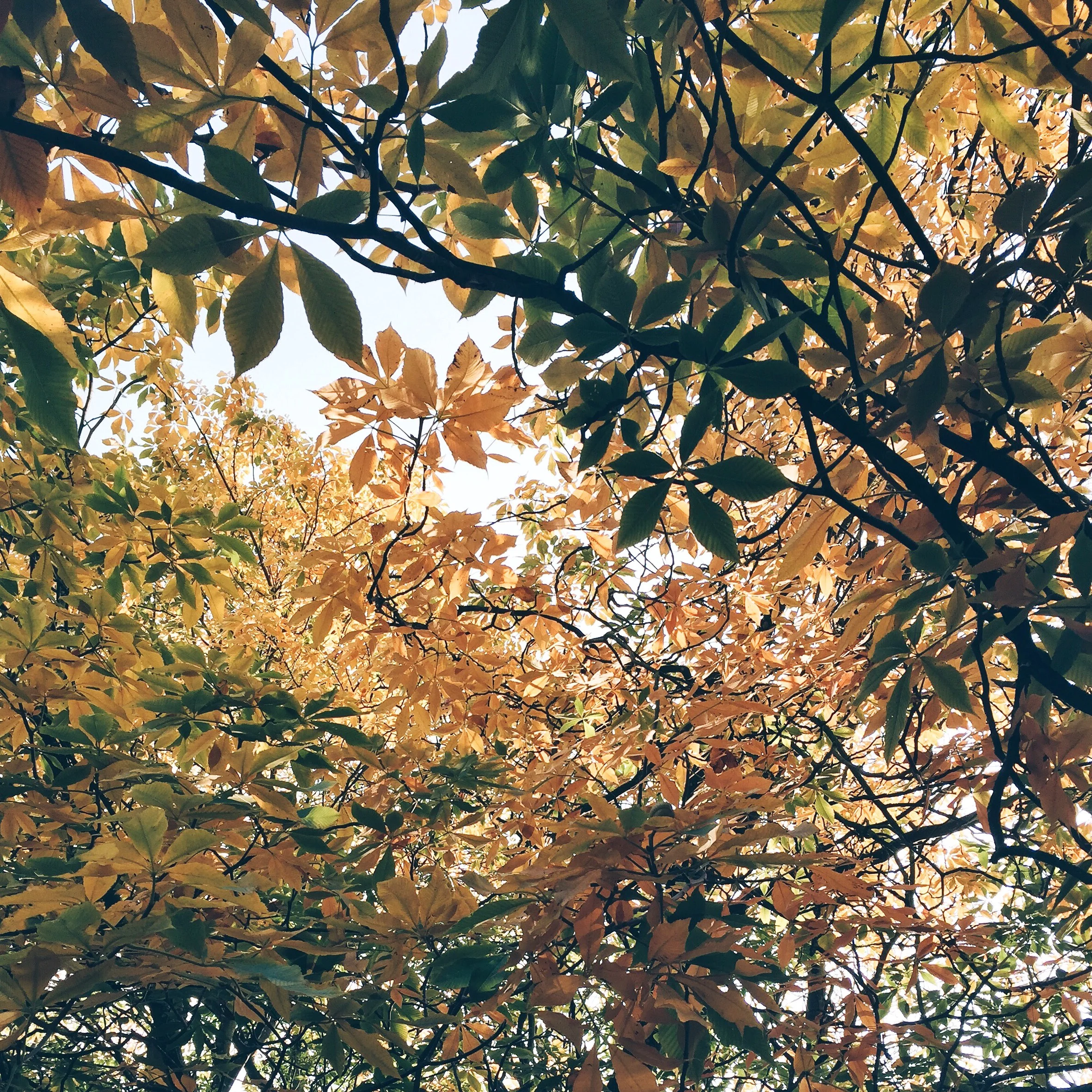 2015-09-14 10.39.13.jpg