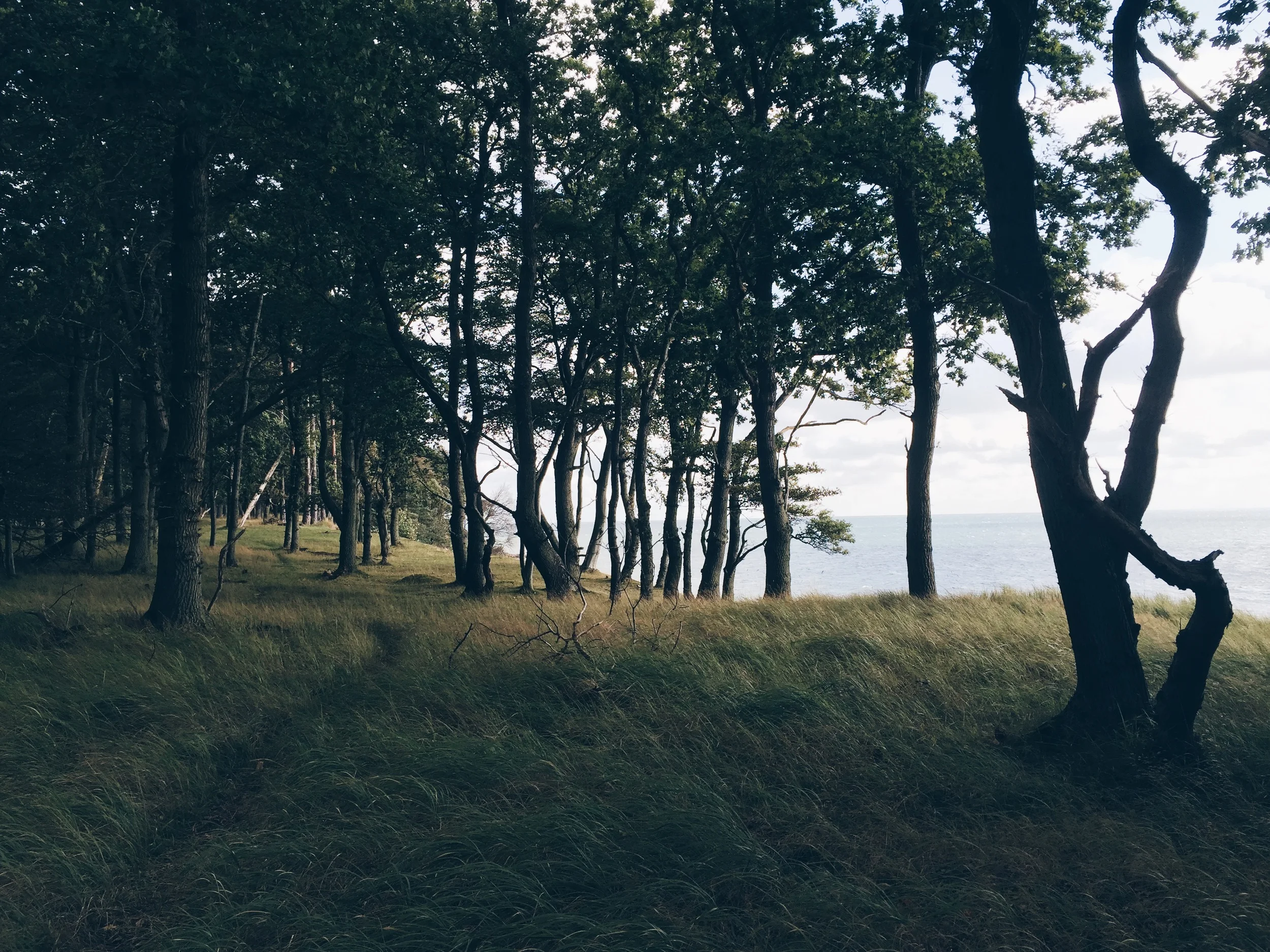 2015-09-15 11.10.52 HDR-1.jpg