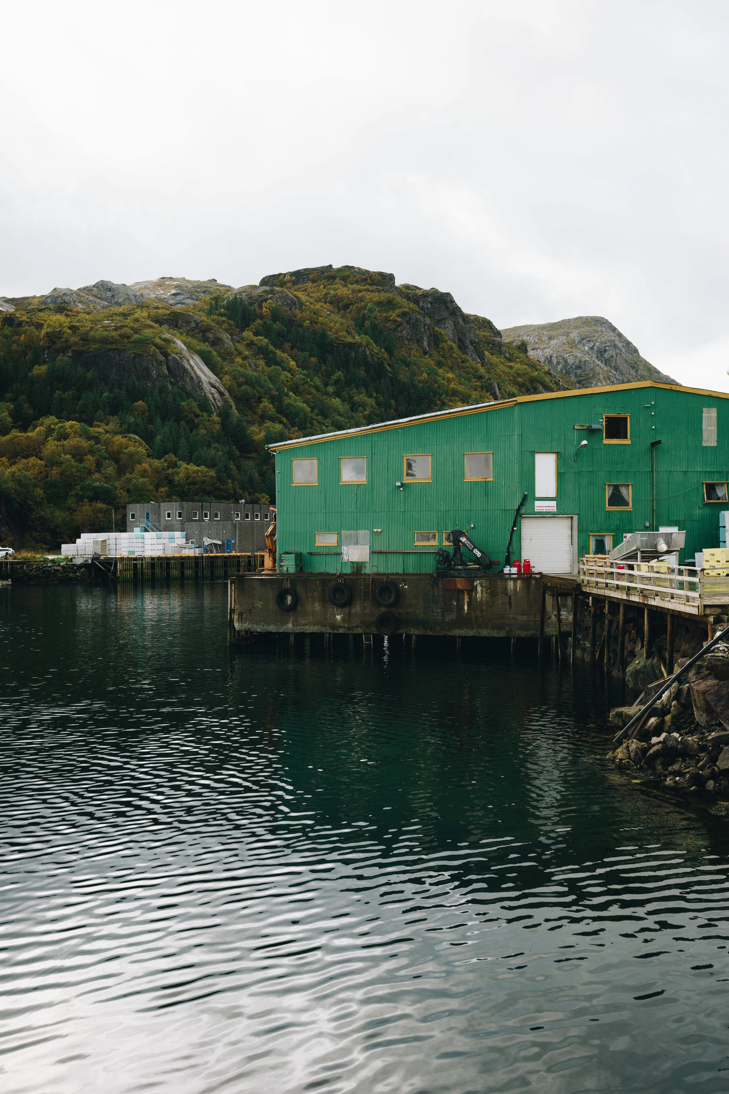 ASROSENVINGE_DSB_Interrail_Norden-00144.jpg