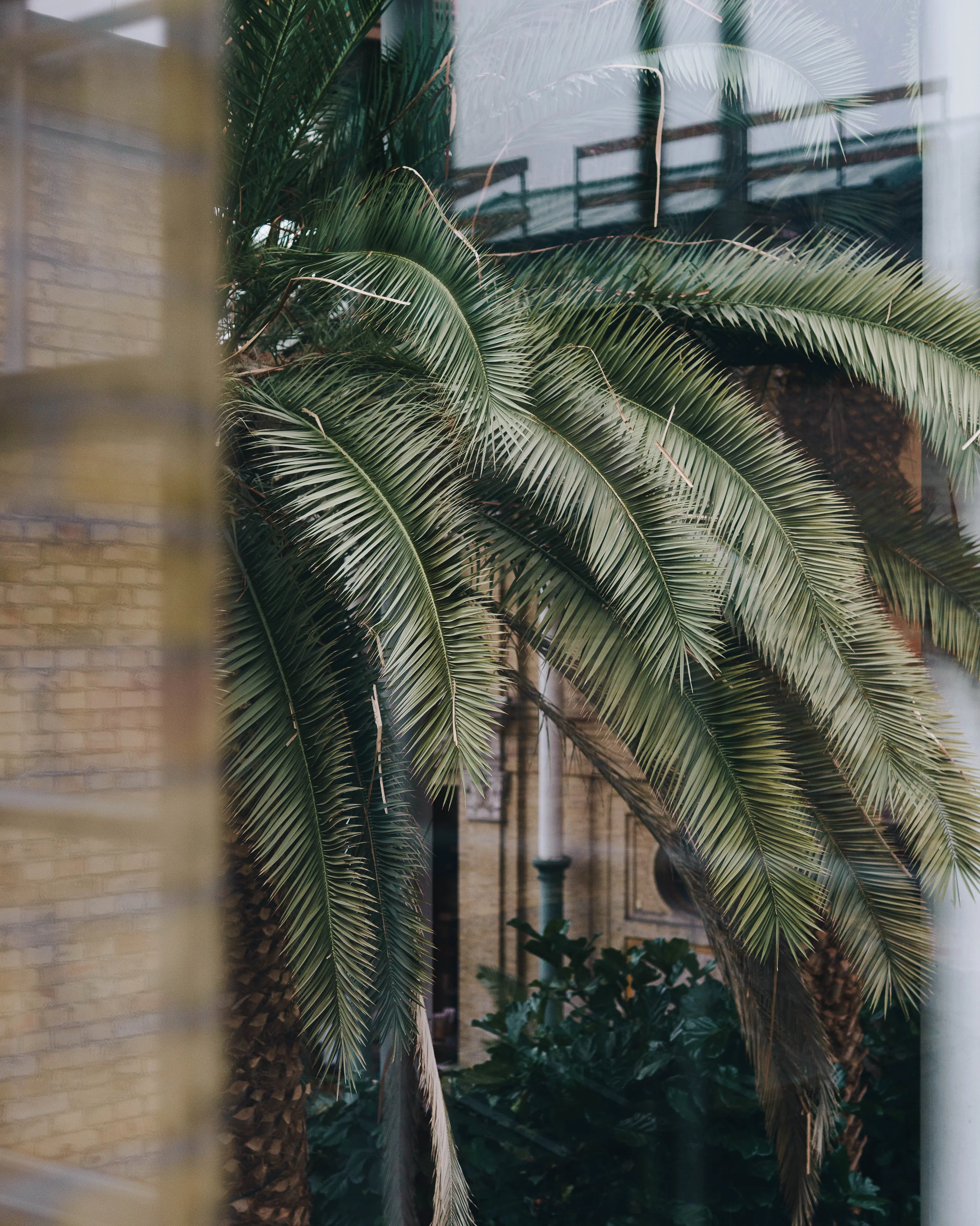 ASROSENVINGE_Glyptoteket_Copenhagen-09526.jpg