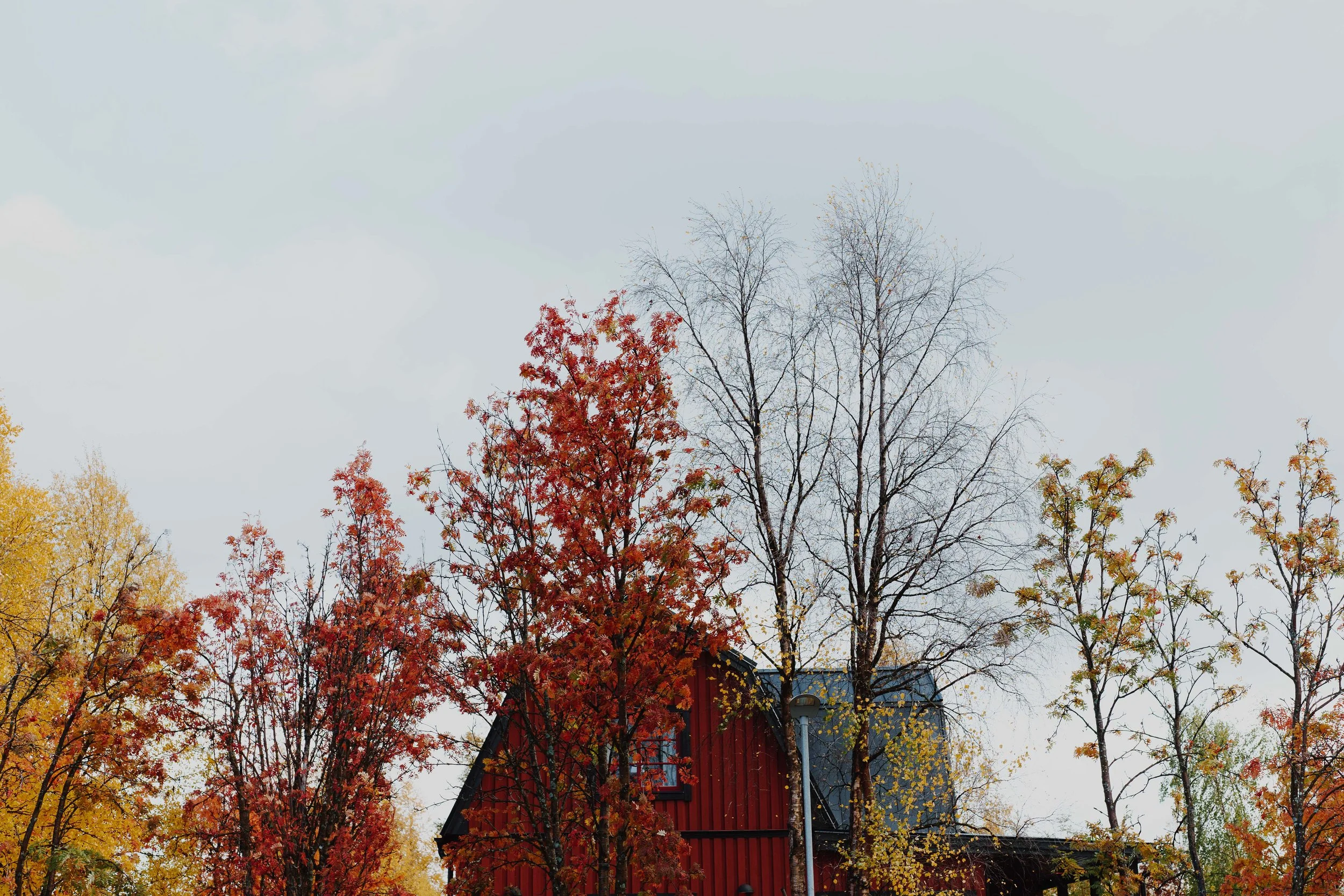 ASROSENVINGE_DSB_Interrail_Norden-09658.jpg