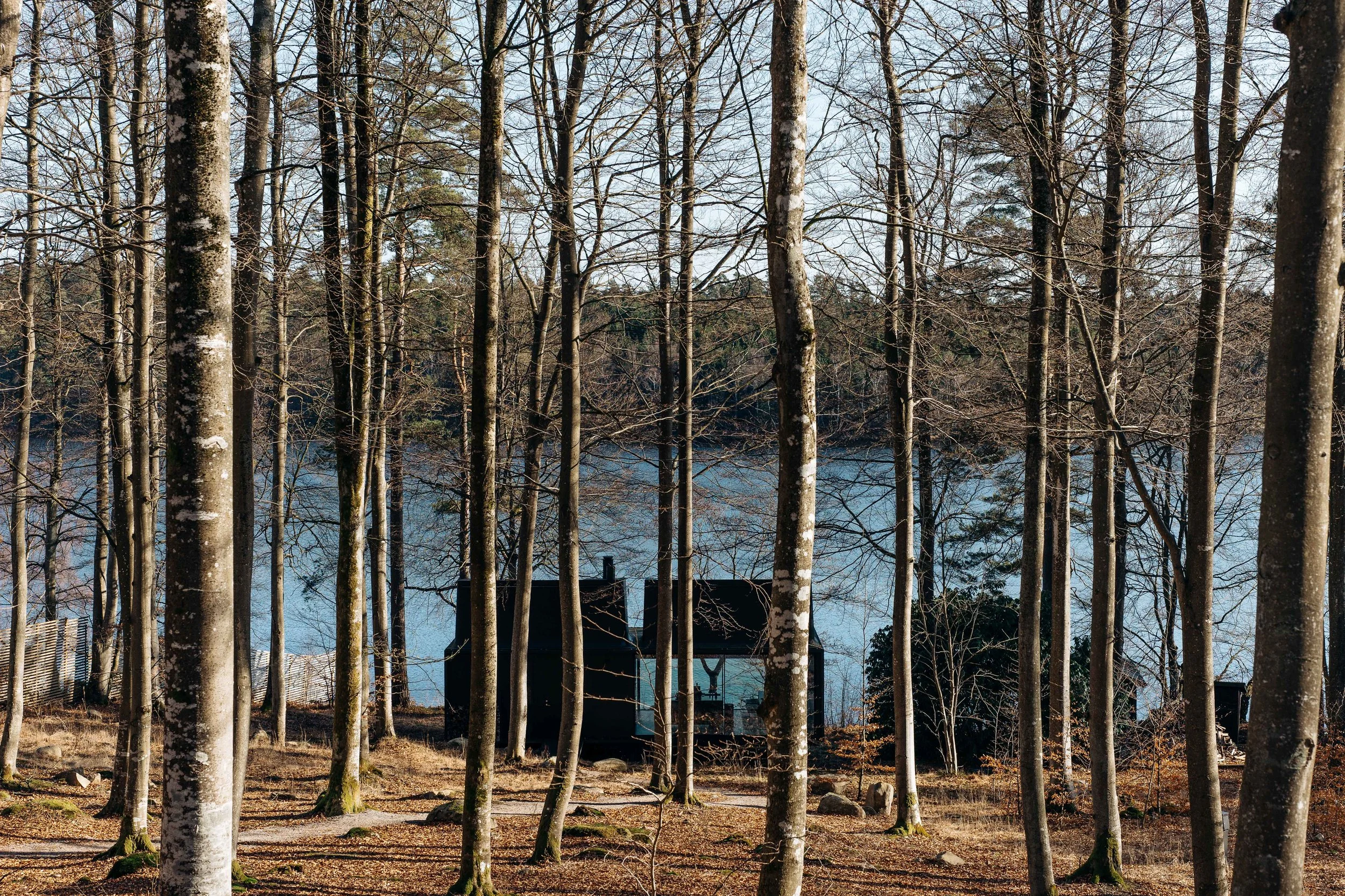 ASROSENVINGE_VIPP_Shelter_Immeln_Sweden-02554.jpg