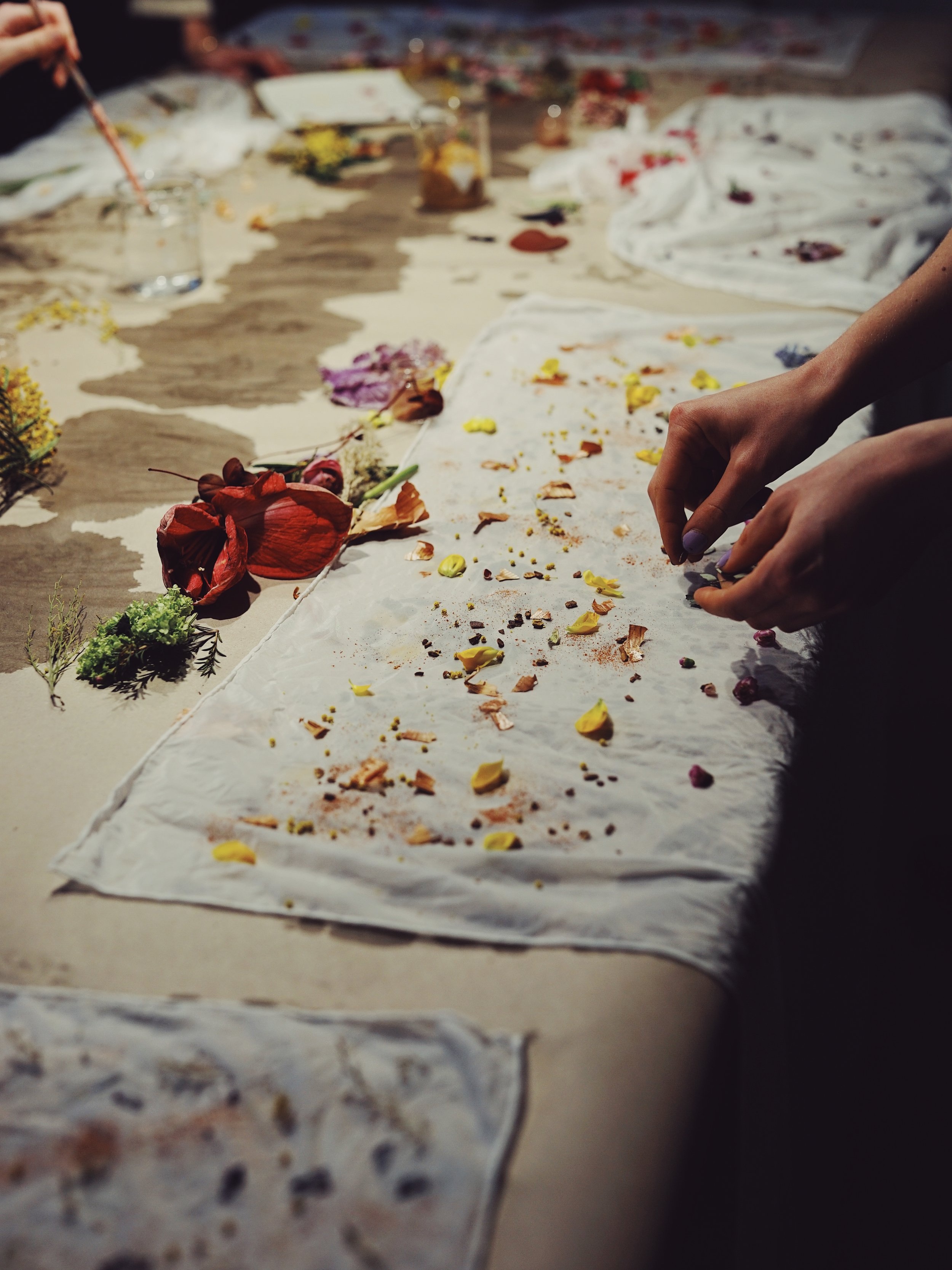 Plant Print Workshop at Eberhart Furniture