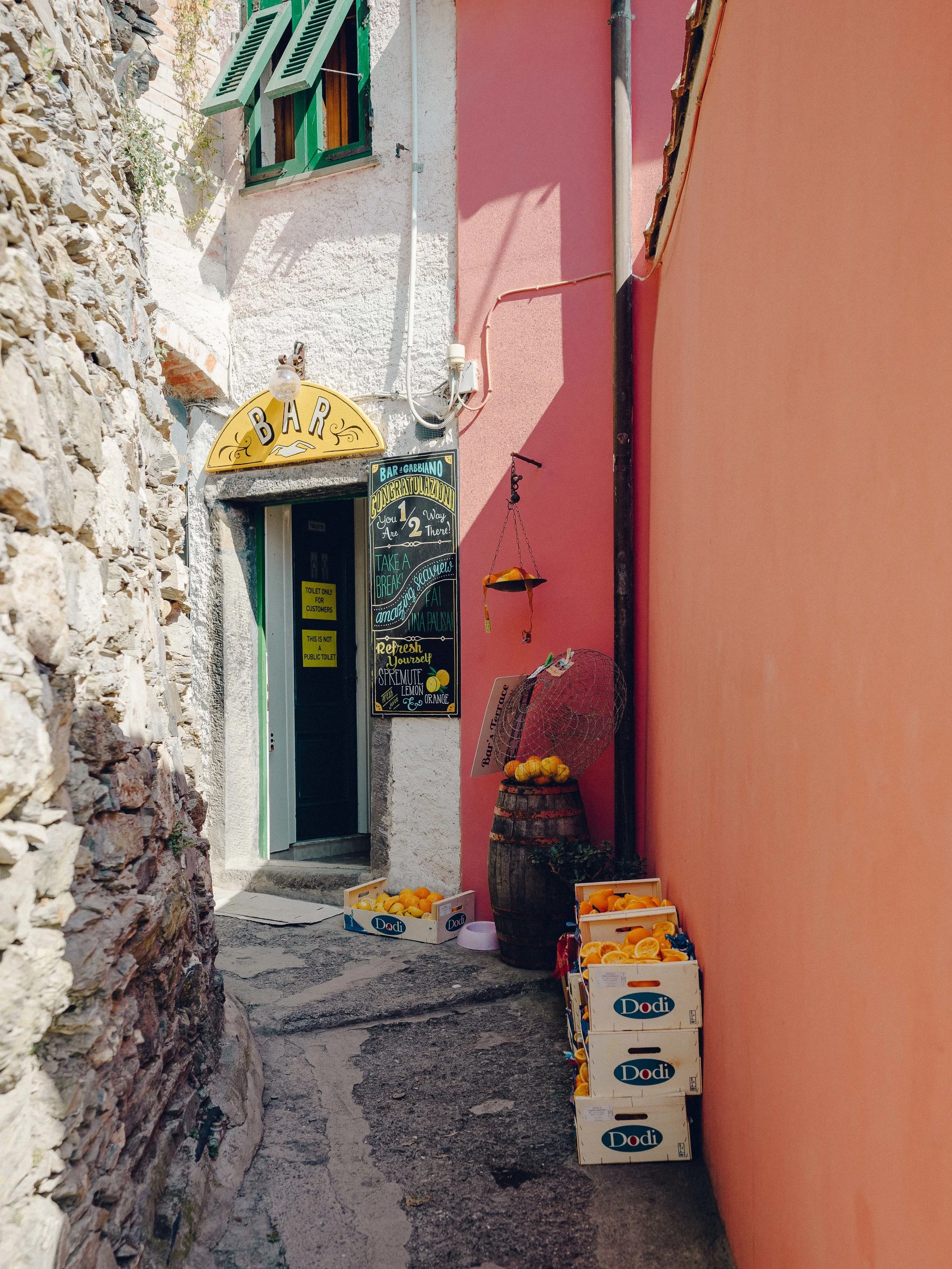 ASROSENVINGE_Roadtrip_Italy_Cinque_Terre-08101.jpg
