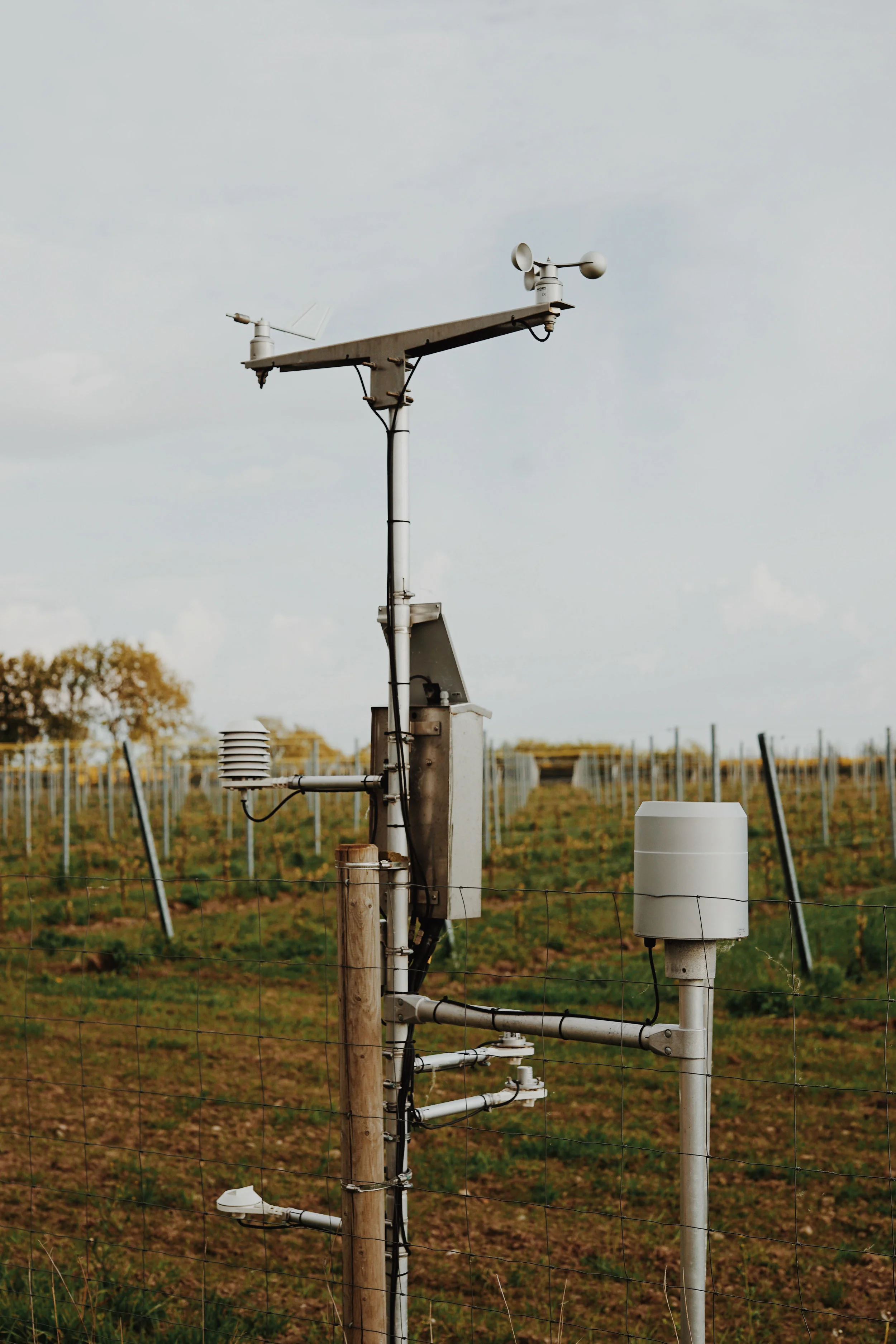 ASROSENVINGE_VisitSkane_Kullabergs_Vingard_Vineyard_LowRes-262.jpg