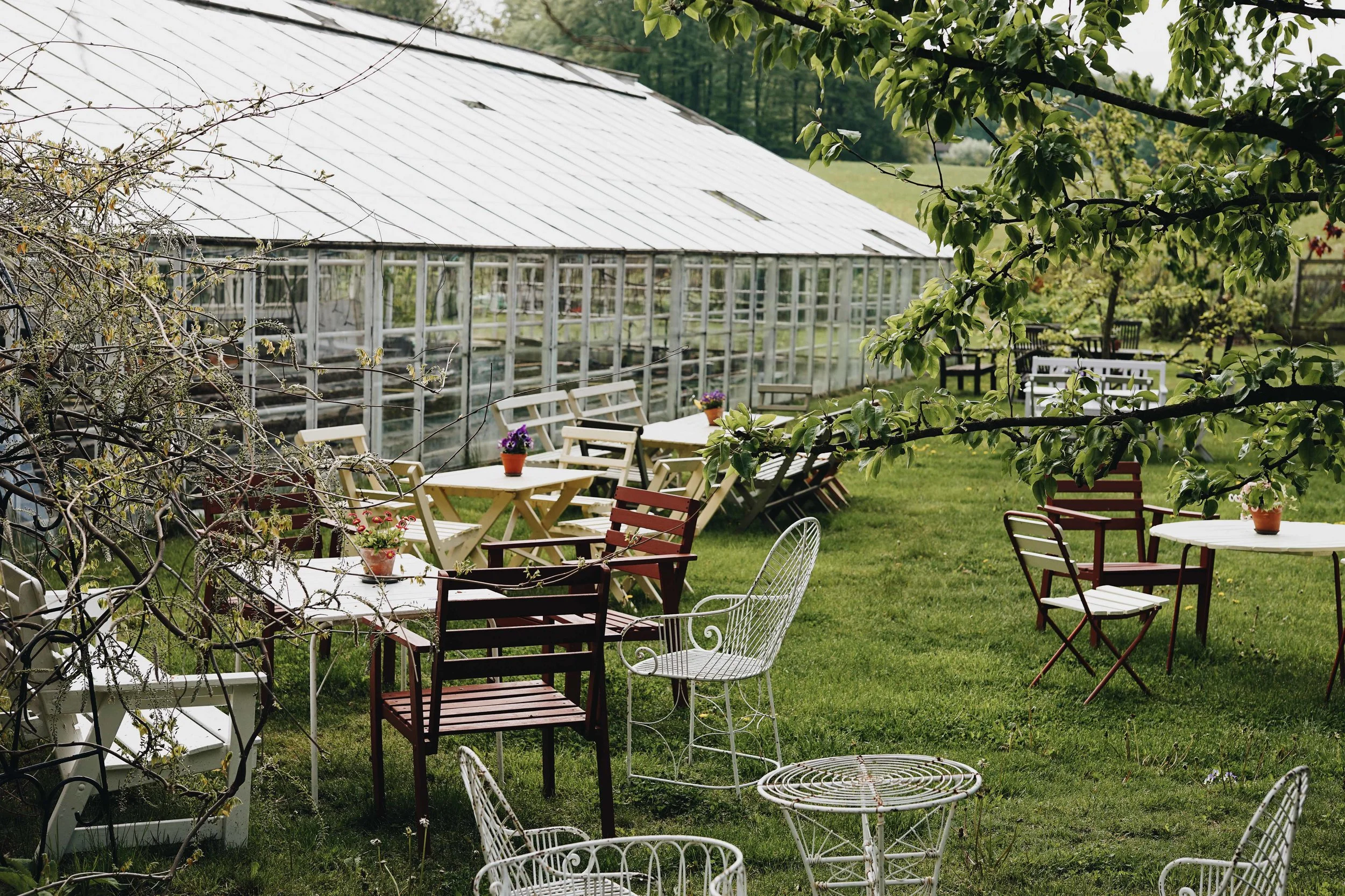 ASROSENVINGE_VisitSkane_Sweden_Backdalens_Handelstradgard_Garden_LowRes-147.jpg