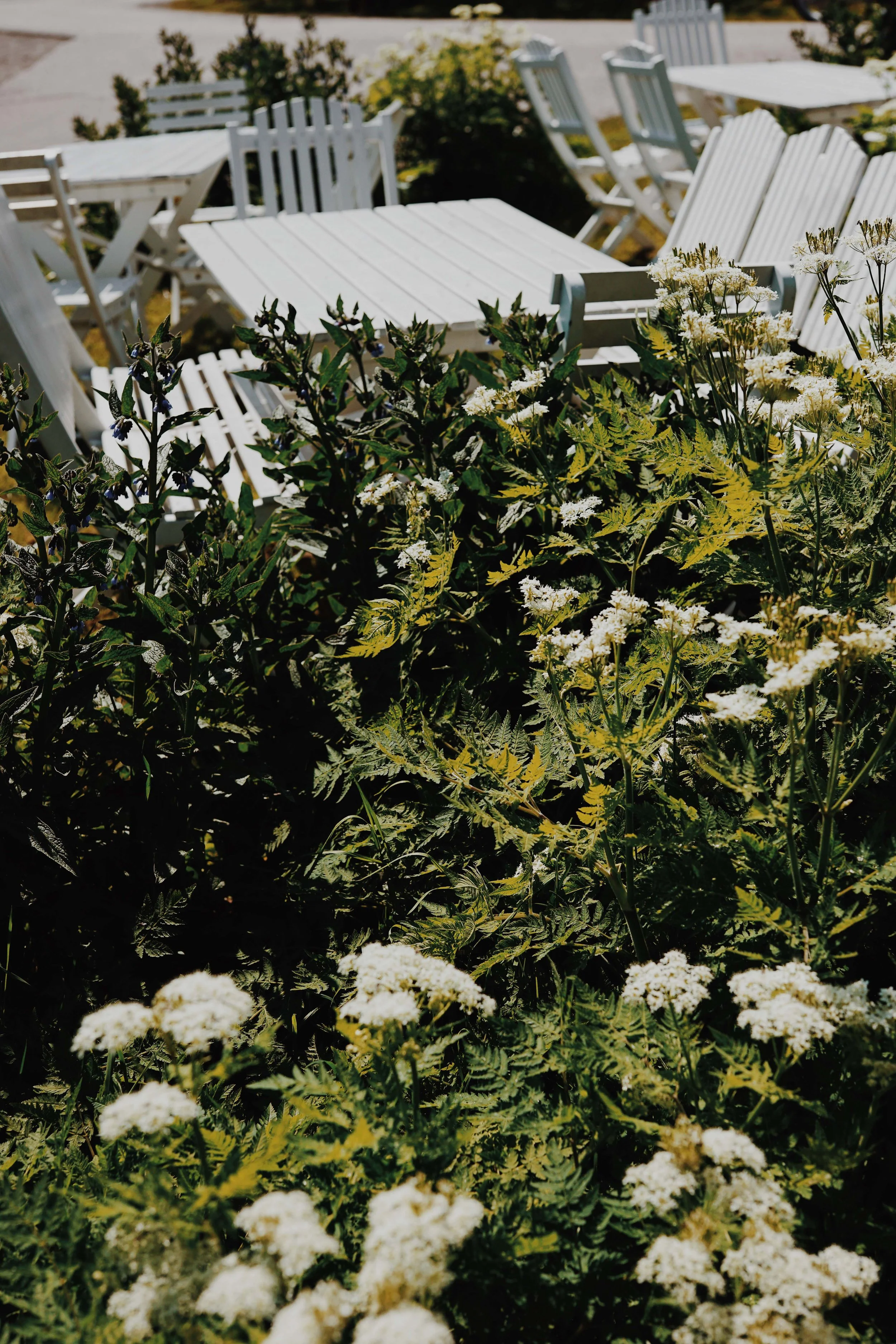ASROSENVINGE_VisitSkane_Sweden_Kattvik_Harbour_Garden_LowRes-200.jpg