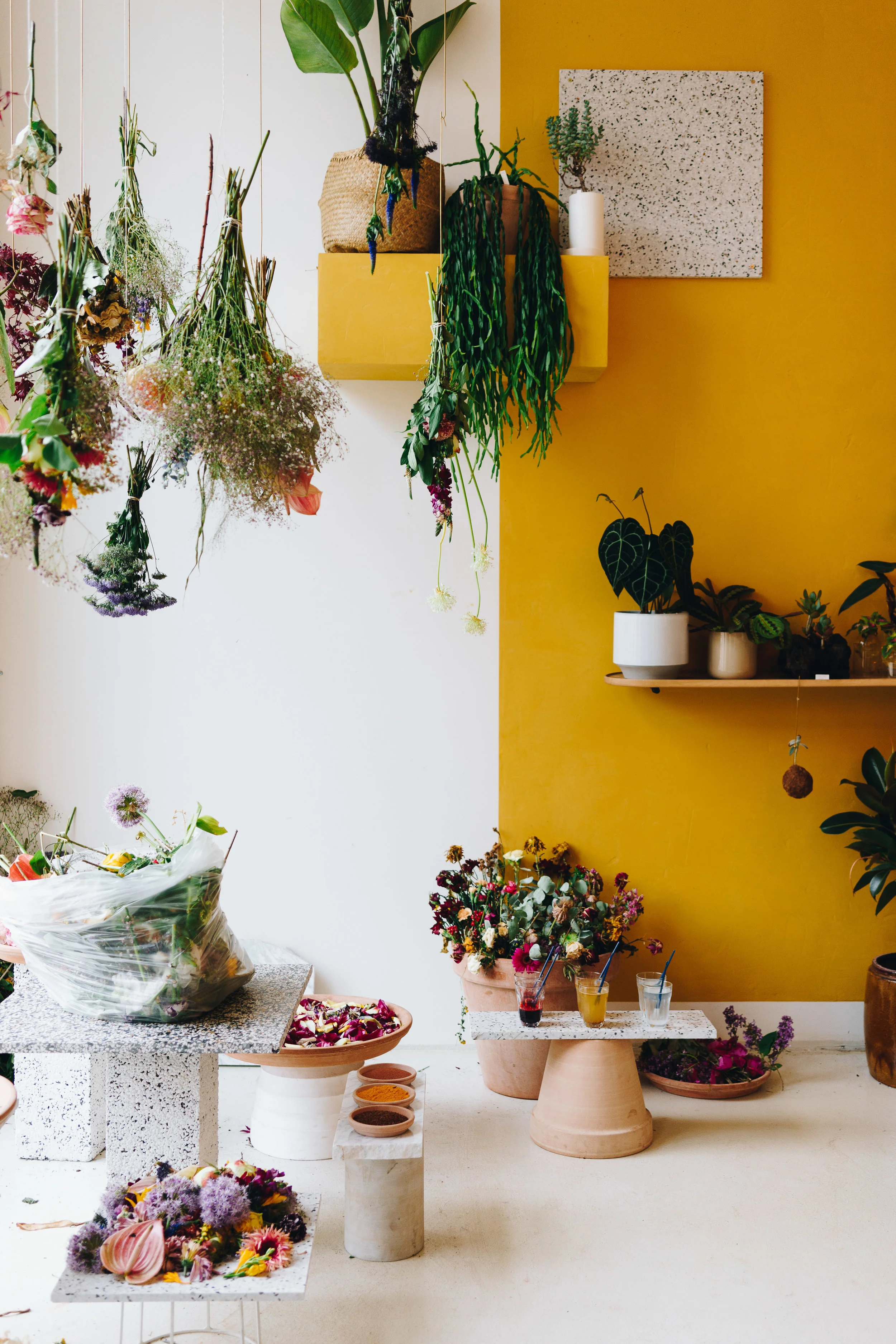 Plant Print Workshop at Plant KBH