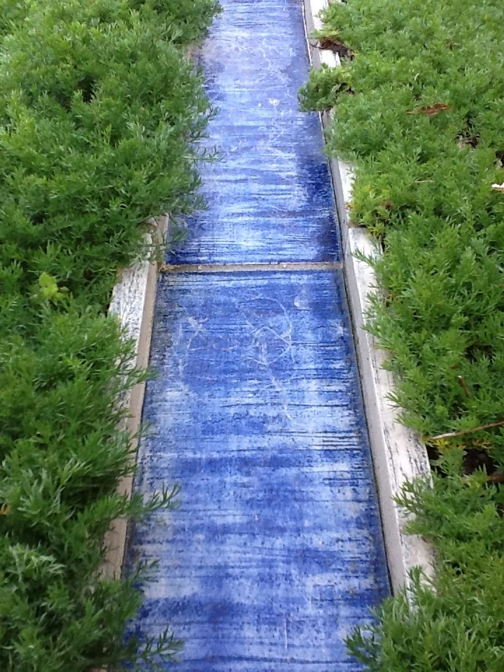 I never thought a drain could look this good!
