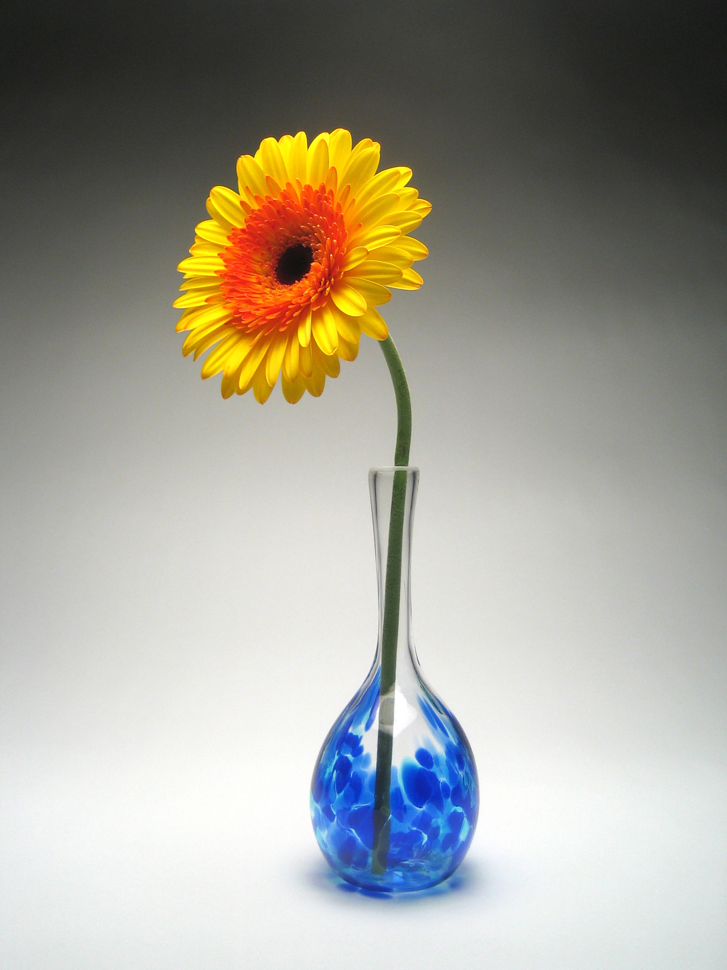 True Blue Christine w flower.jpg
