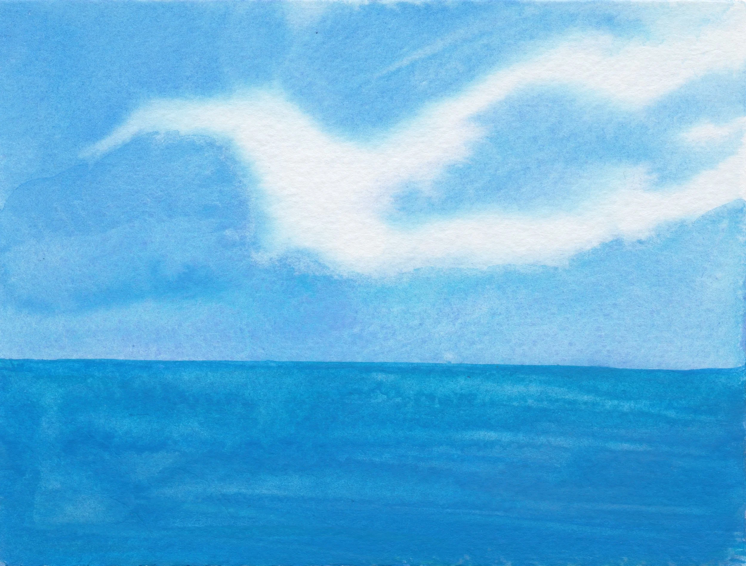 white dove sky.jpeg