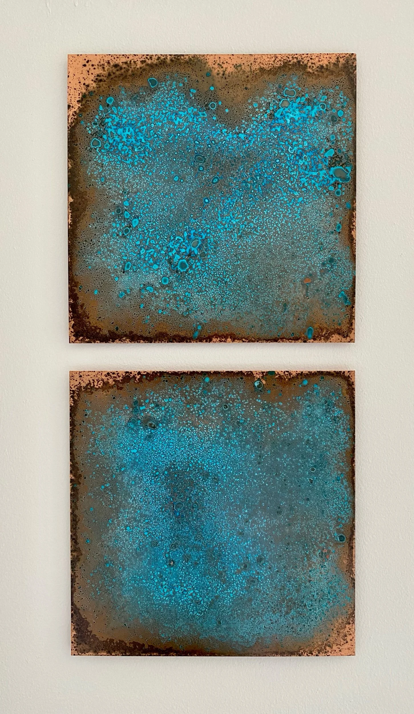 IMG_7109.jpeg