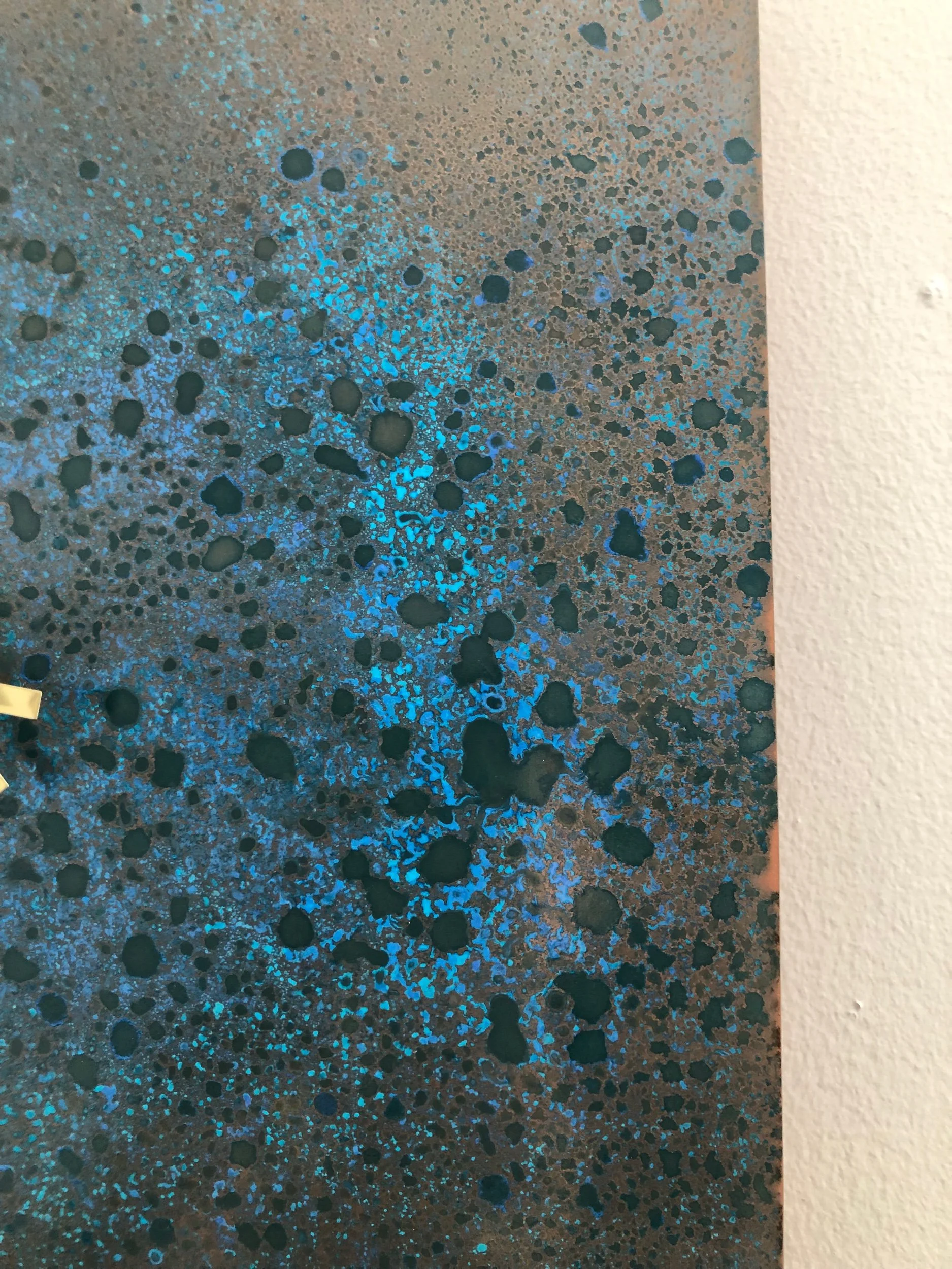 A2C39281-5832-433A-AB46-551970D98F8B.jpeg