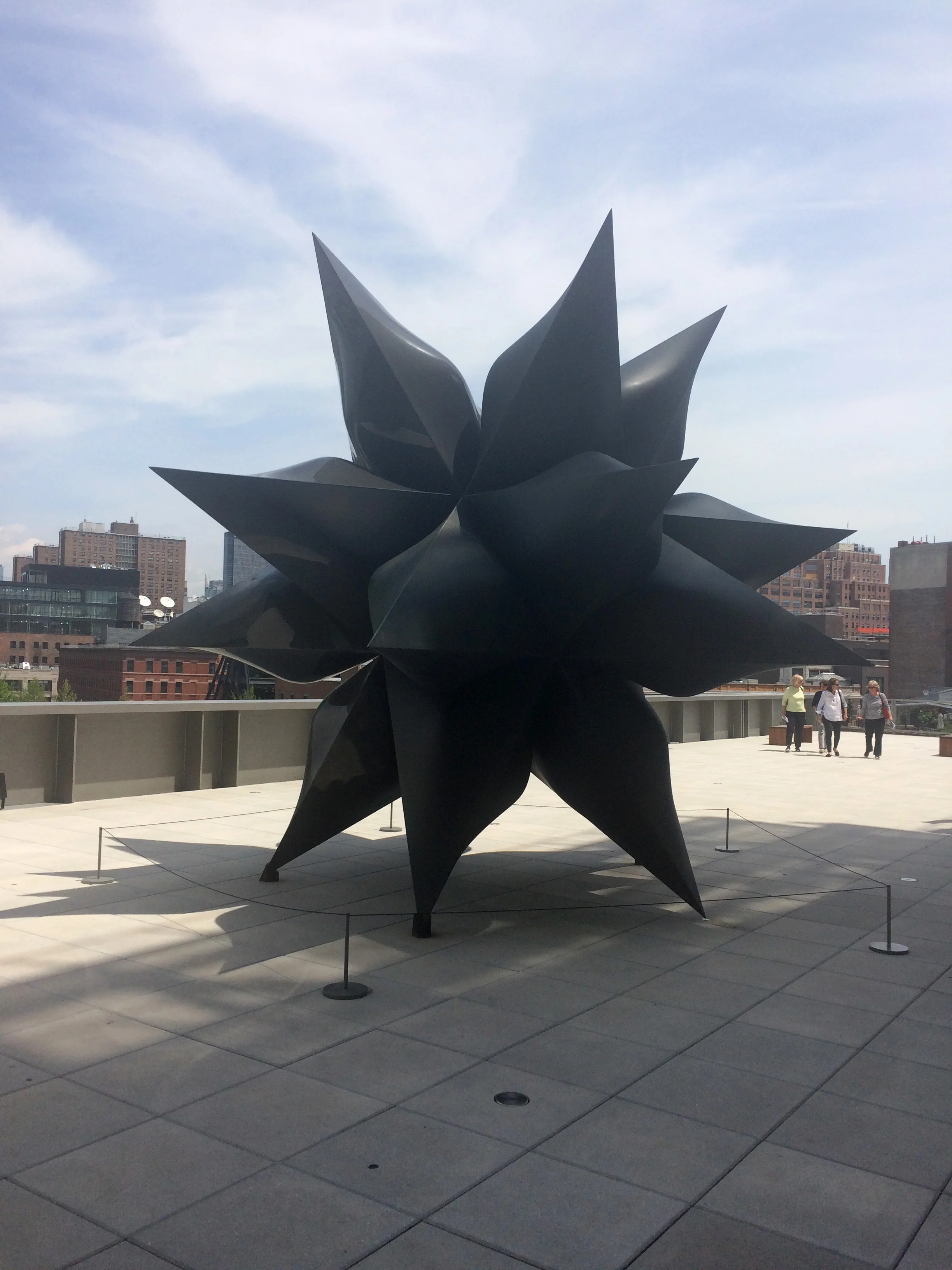 " Black Star" by Artist Frank Stella, Carbon Fiber, 2014 @ The Whitney Museum, New York