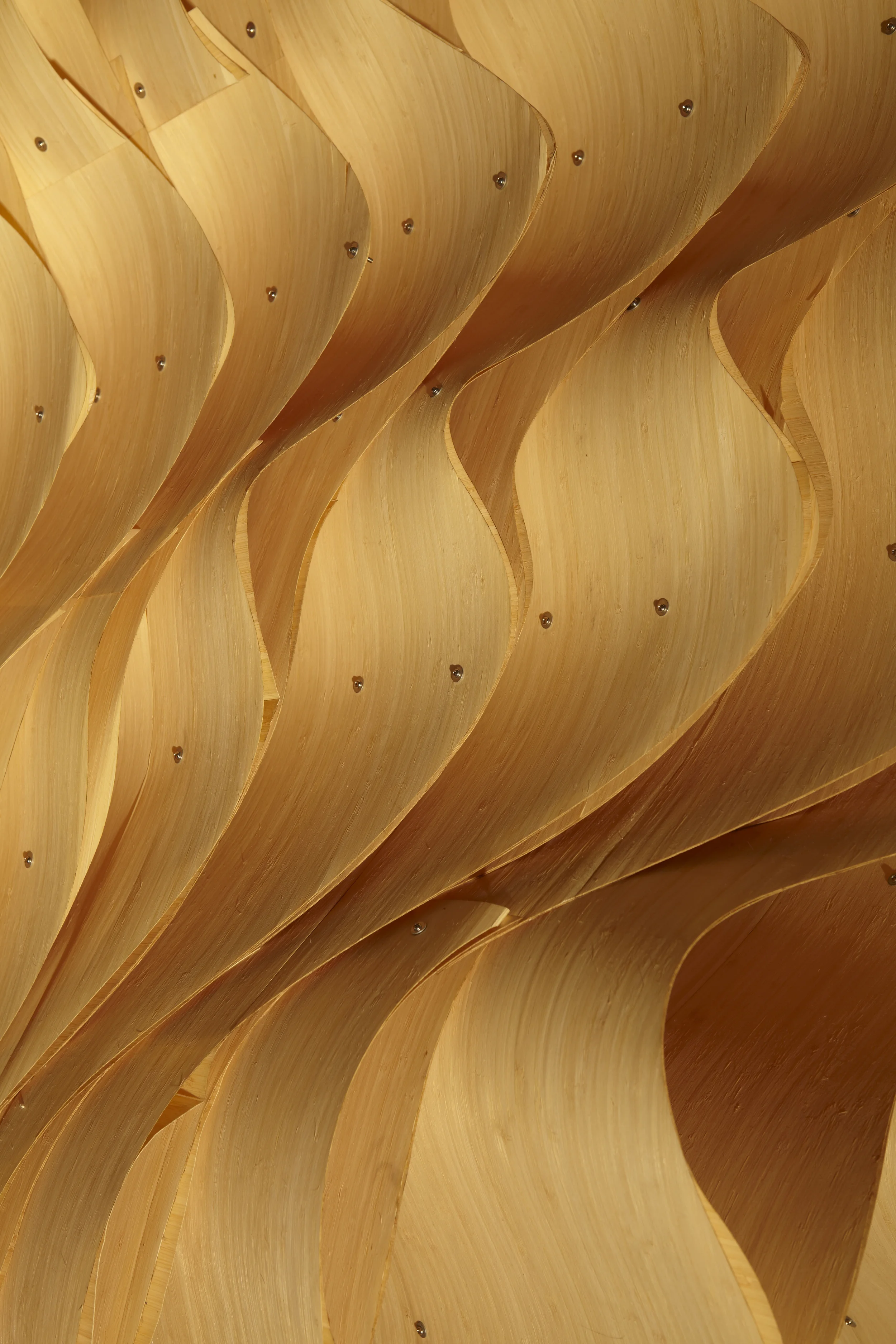 Strips of Bamboo lamella at Anisotropia at the China National Museum, Tian An Men, Beijing.