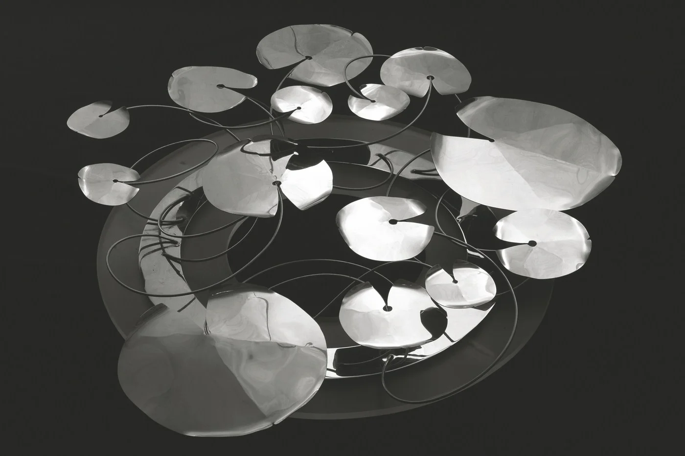 Lilly Pond , from Alex Davis Studio