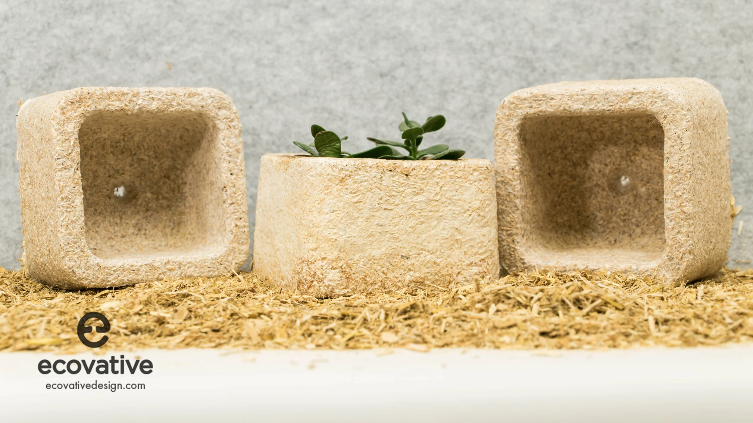 The GIY Mushroom® Material is shaped into custom molds and packaging.