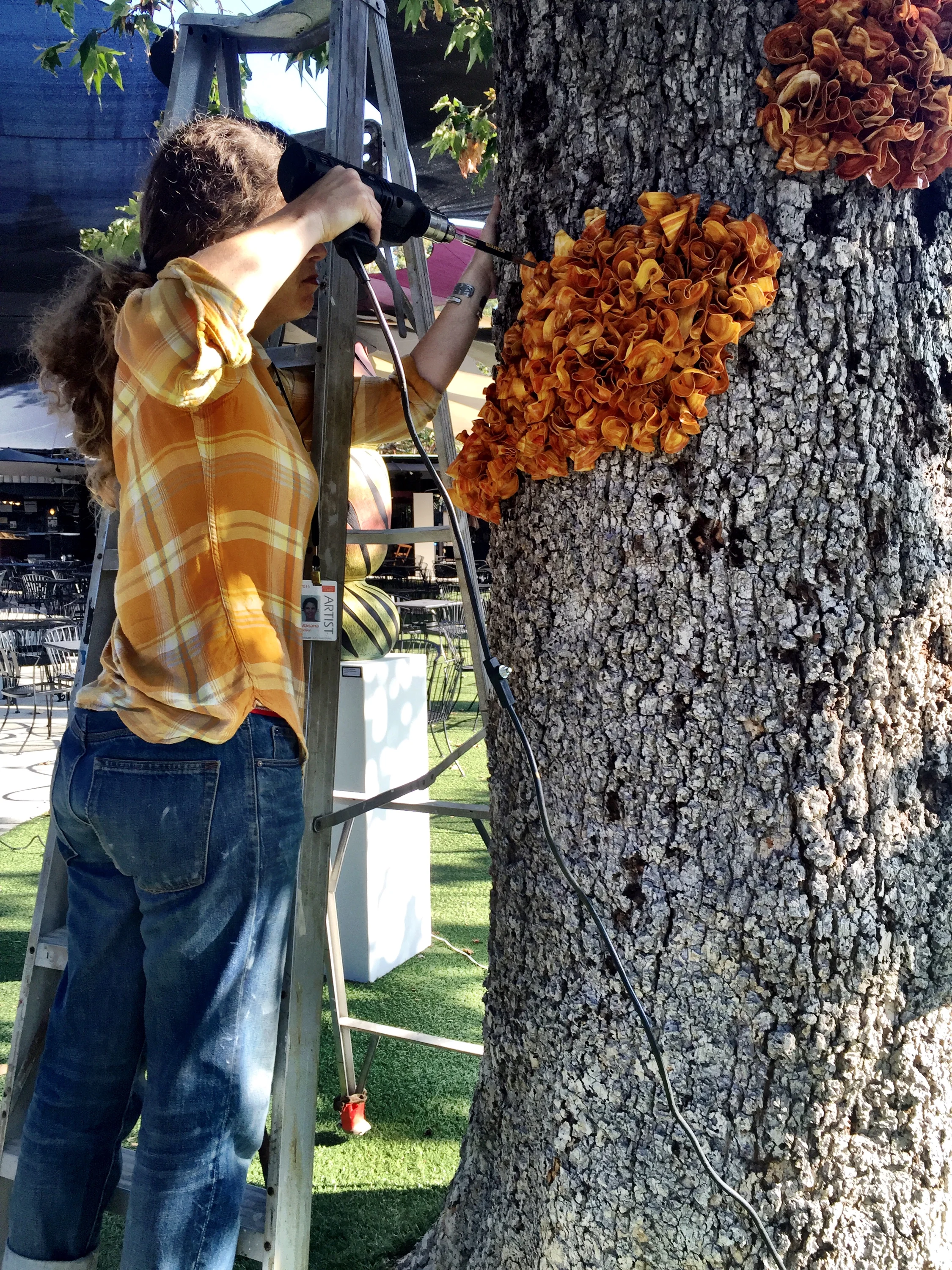 Melted 'Starbucks' coffee cup lids are melted and warped to create this orange 'Fungus' for the Festival of Arts, Laguna Beach, CA. Seen here, Mariana installing the growing 'Fungus'.