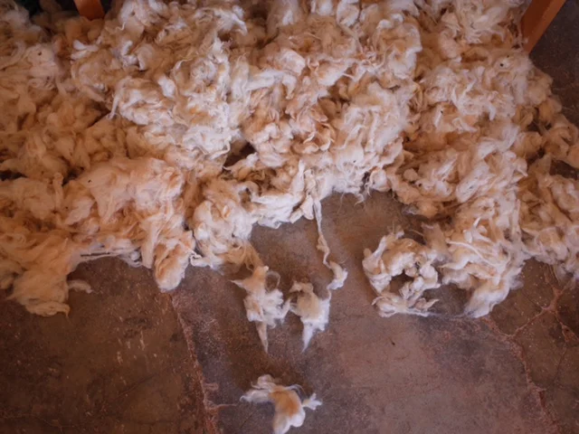 Keeping the integrity of the high-quality, local ingredients such as wool, cotton and sabra, and traditional techniques, was crucial, while progressing in terms of design.