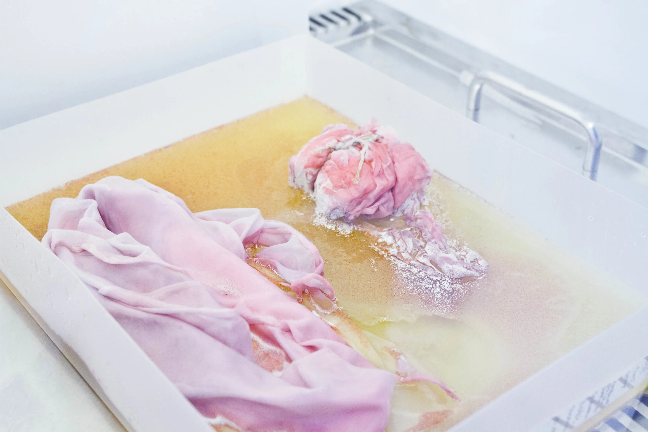 Faber Futures intervenes in the pigment-producing processes of bacteria, co-cultivating and arriving at new possibilities of desired pigments.