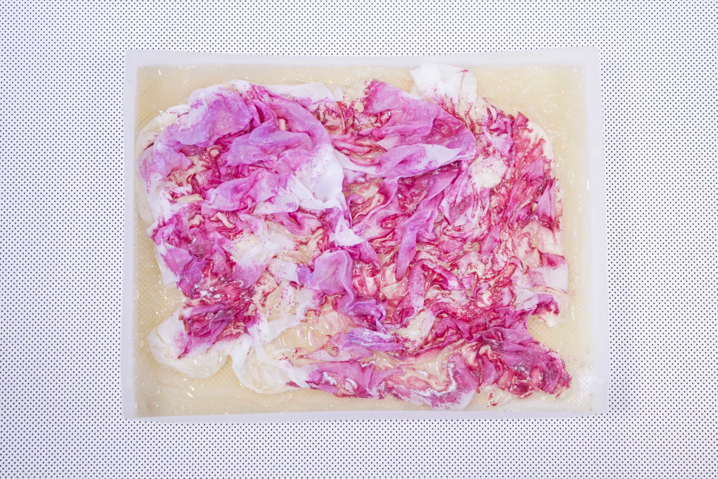 Faber Futures intervenes in the pigment-producing processes of bacteria, co-cultivating and arriving at new possibilities of desired pigments.