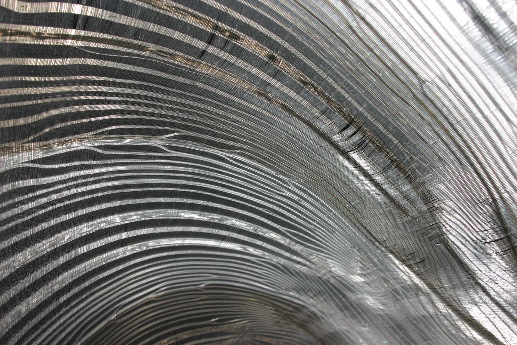 The iridescent nylon filament glistens in the X-Ray Vault Series III by Rita Parniczky 2016