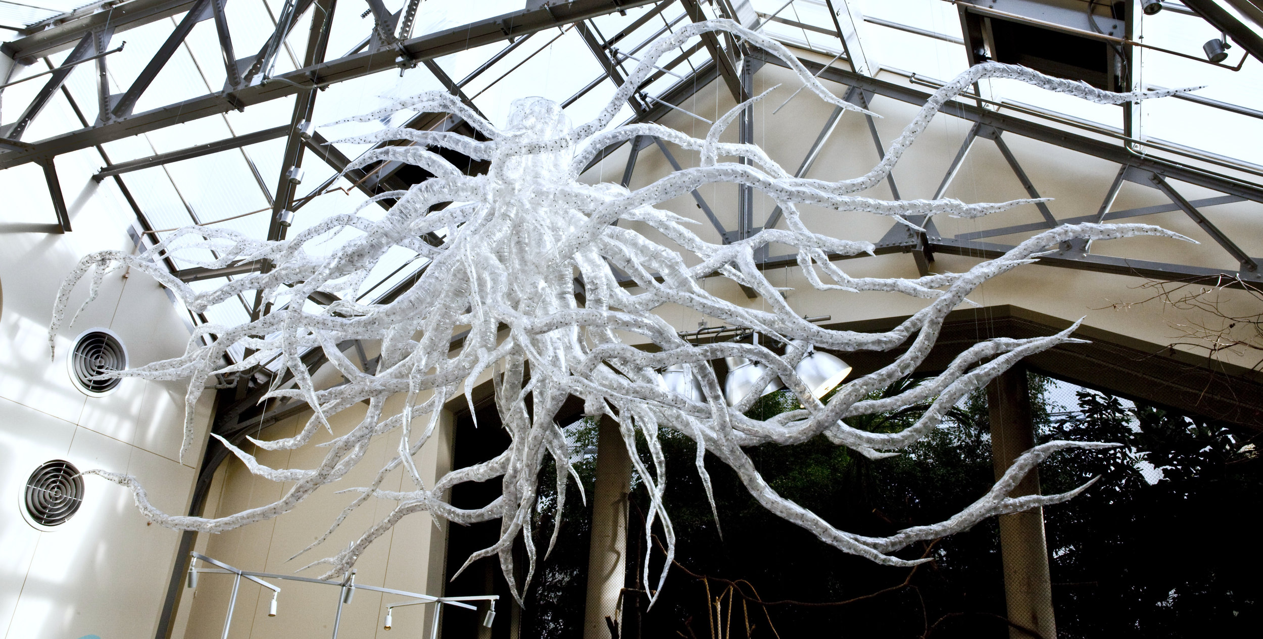 Root_System_Access.JPG